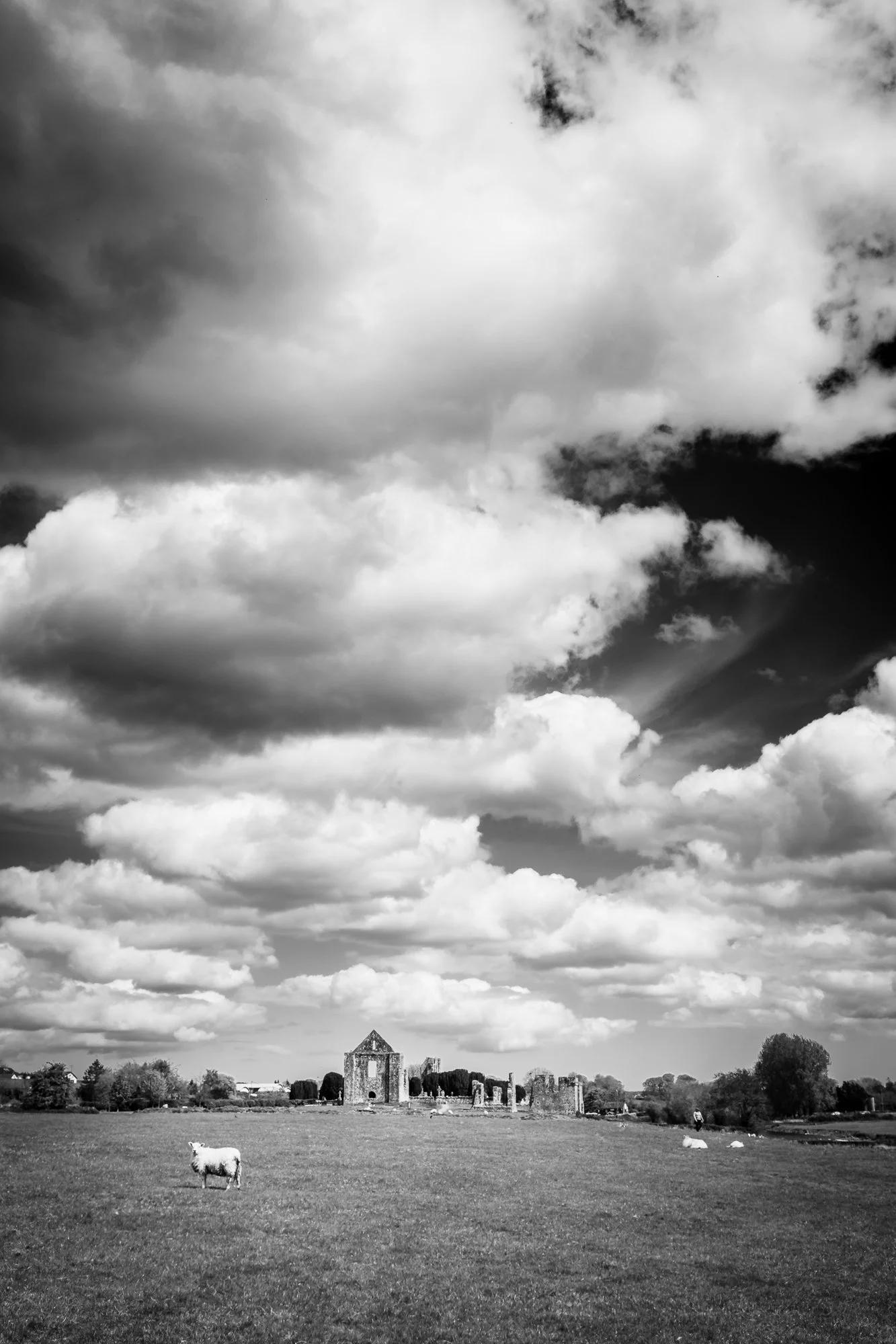 RSK Walk - Mark Cheevers-3.jpg