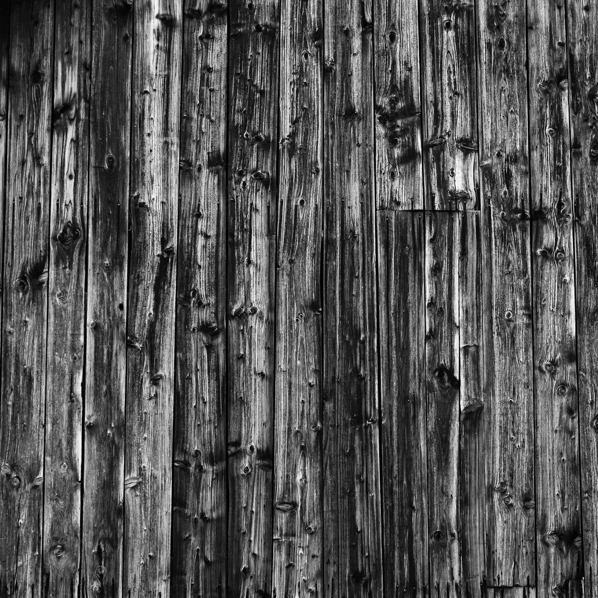 1208-German Holiday Web-030.jpg