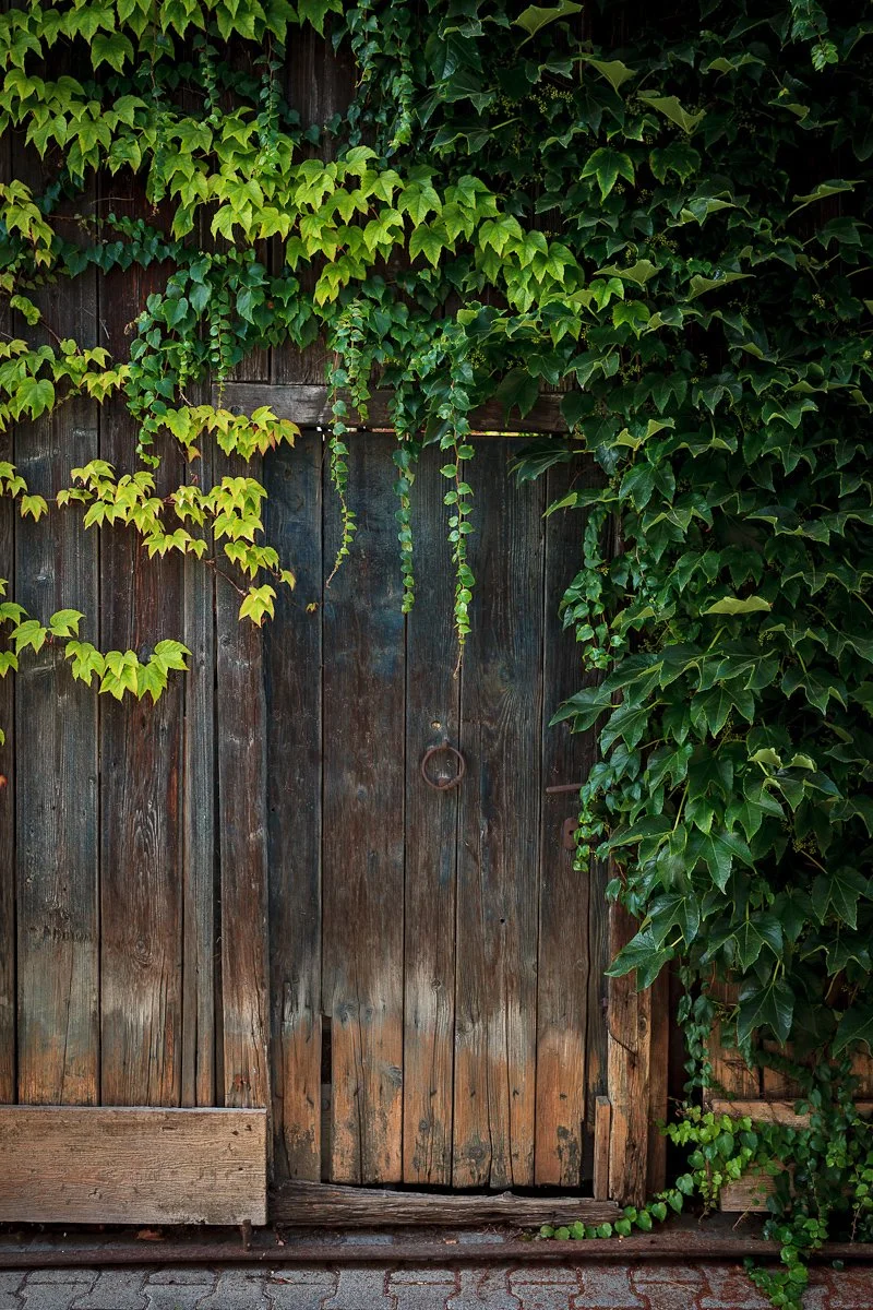 1208-German Holiday Part 2-012.jpg