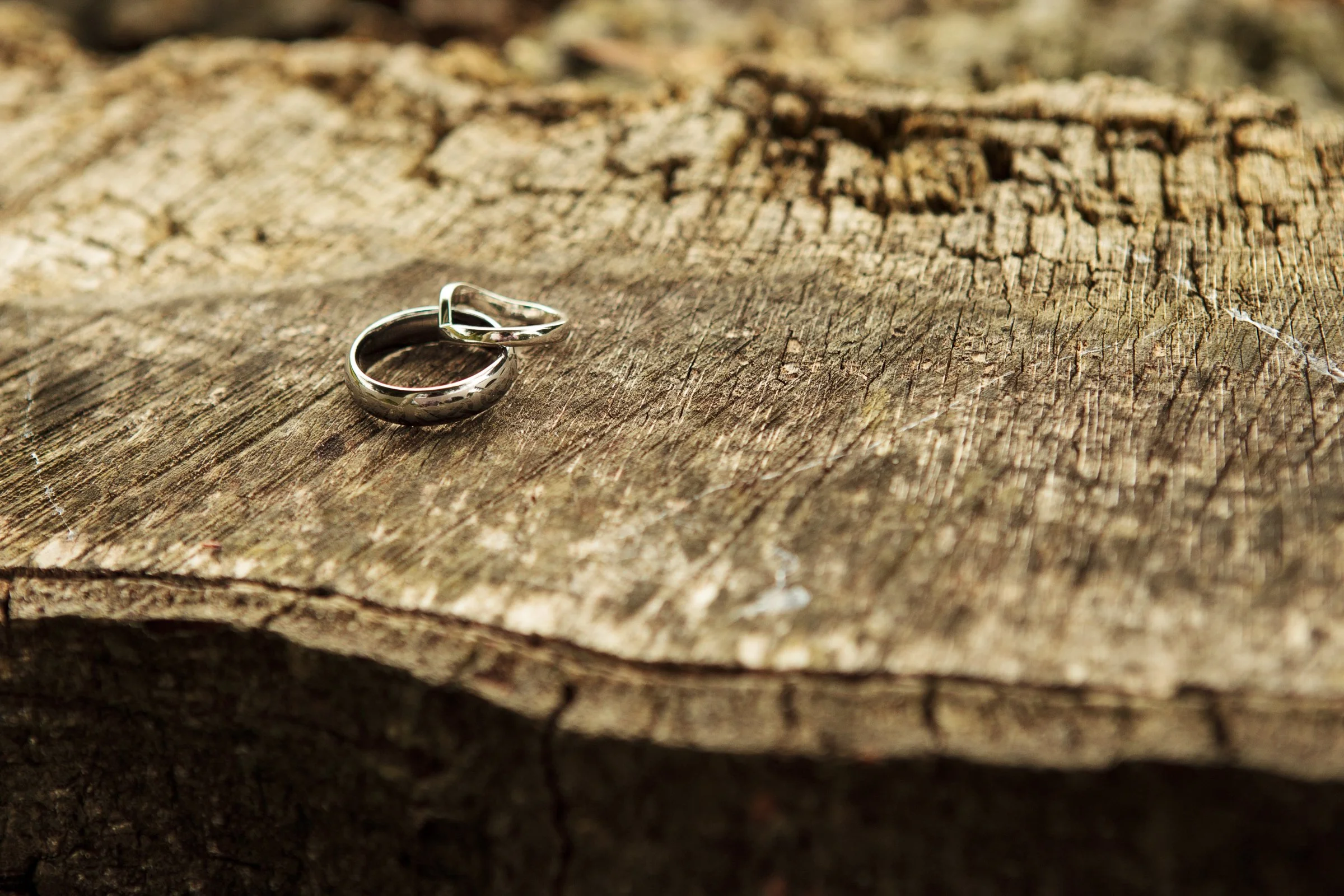 1007-David & Claire Album-047.jpg