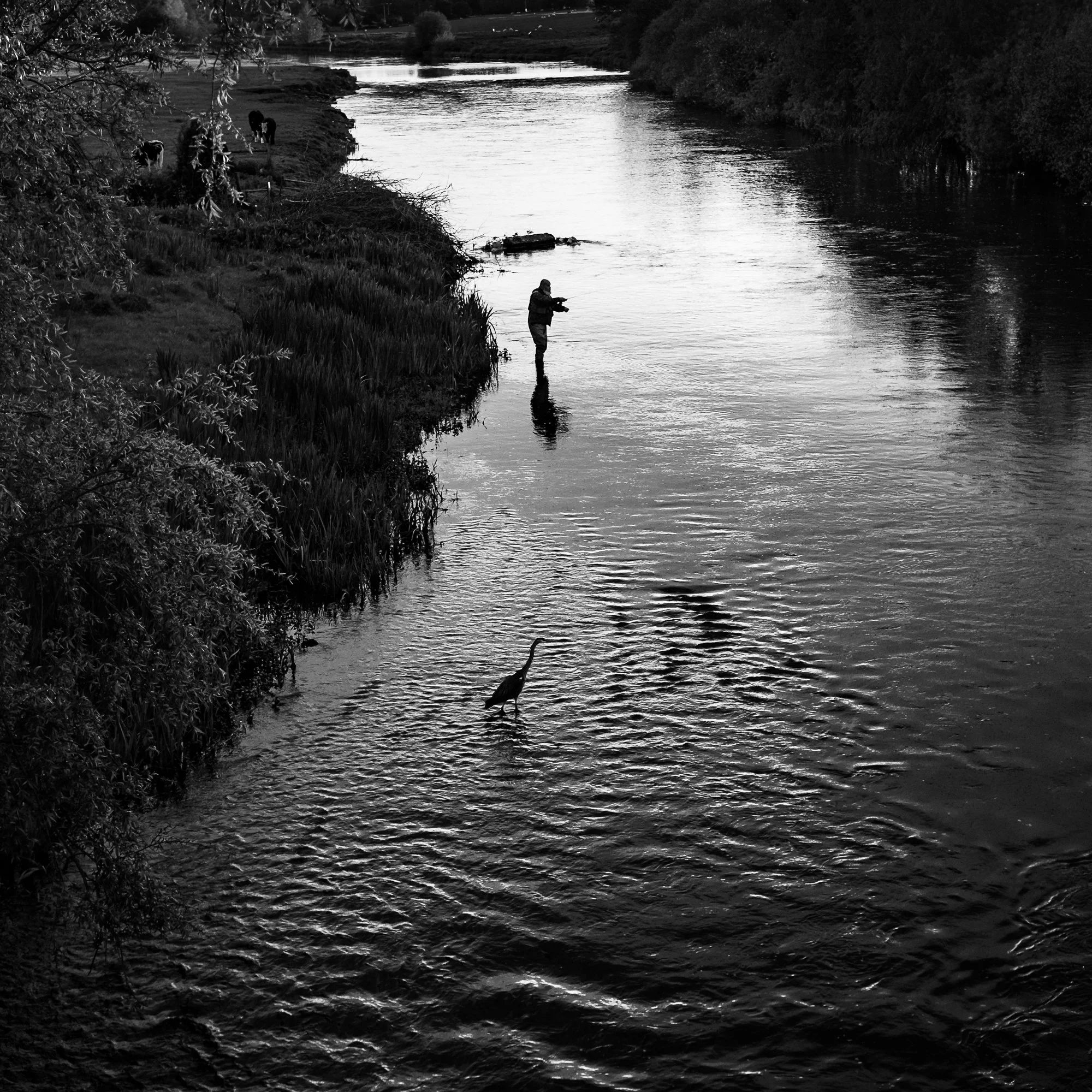 Local Fishermen