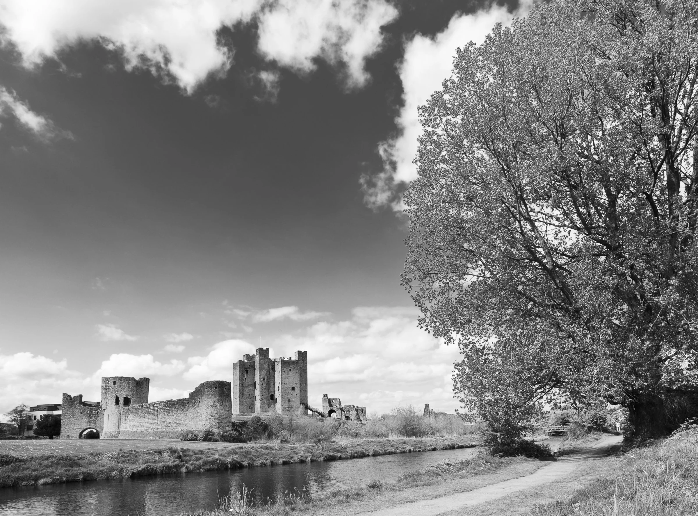 1104-Noire Postcard-012.jpg