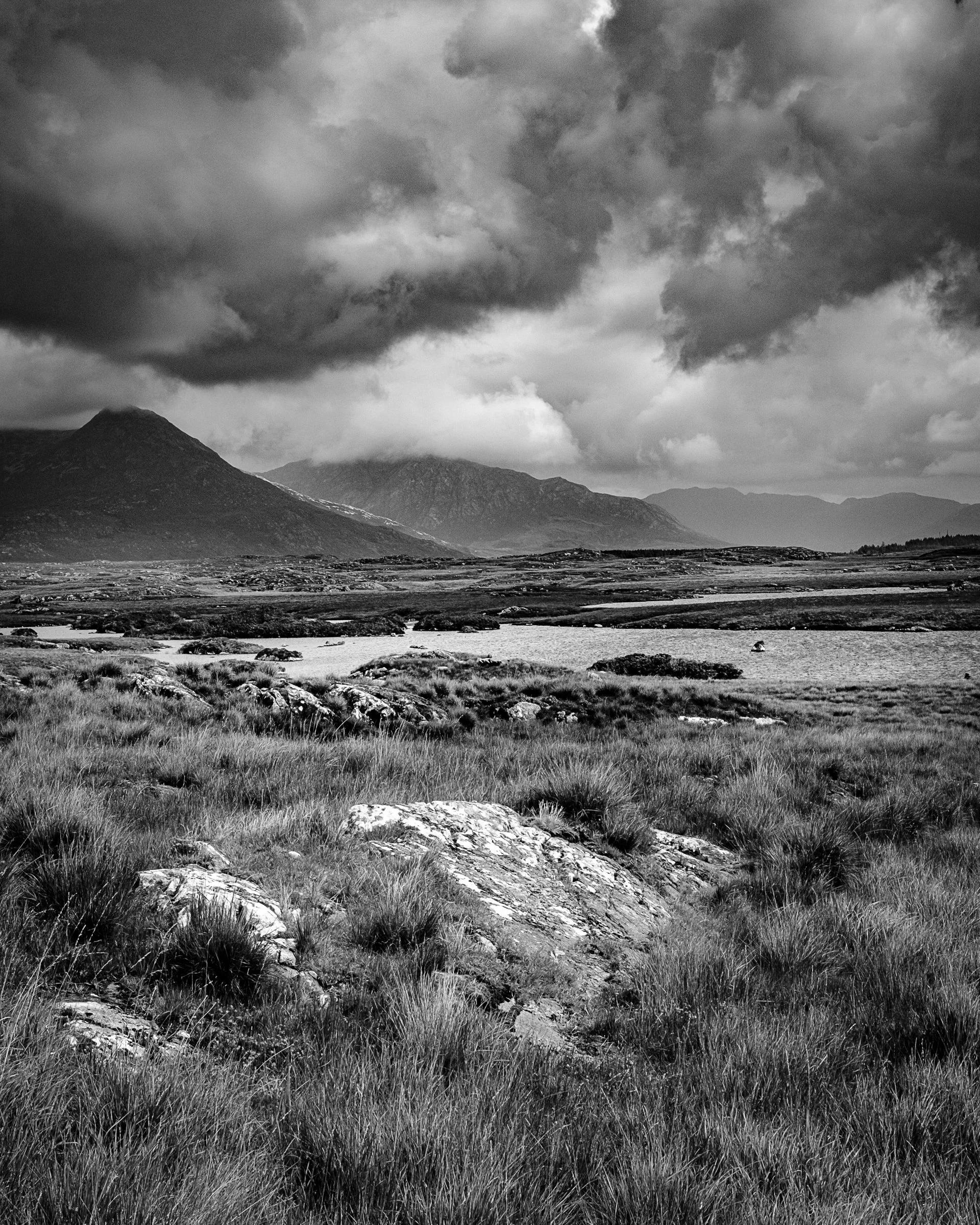 1608-Farewell to a Friend-017.jpg