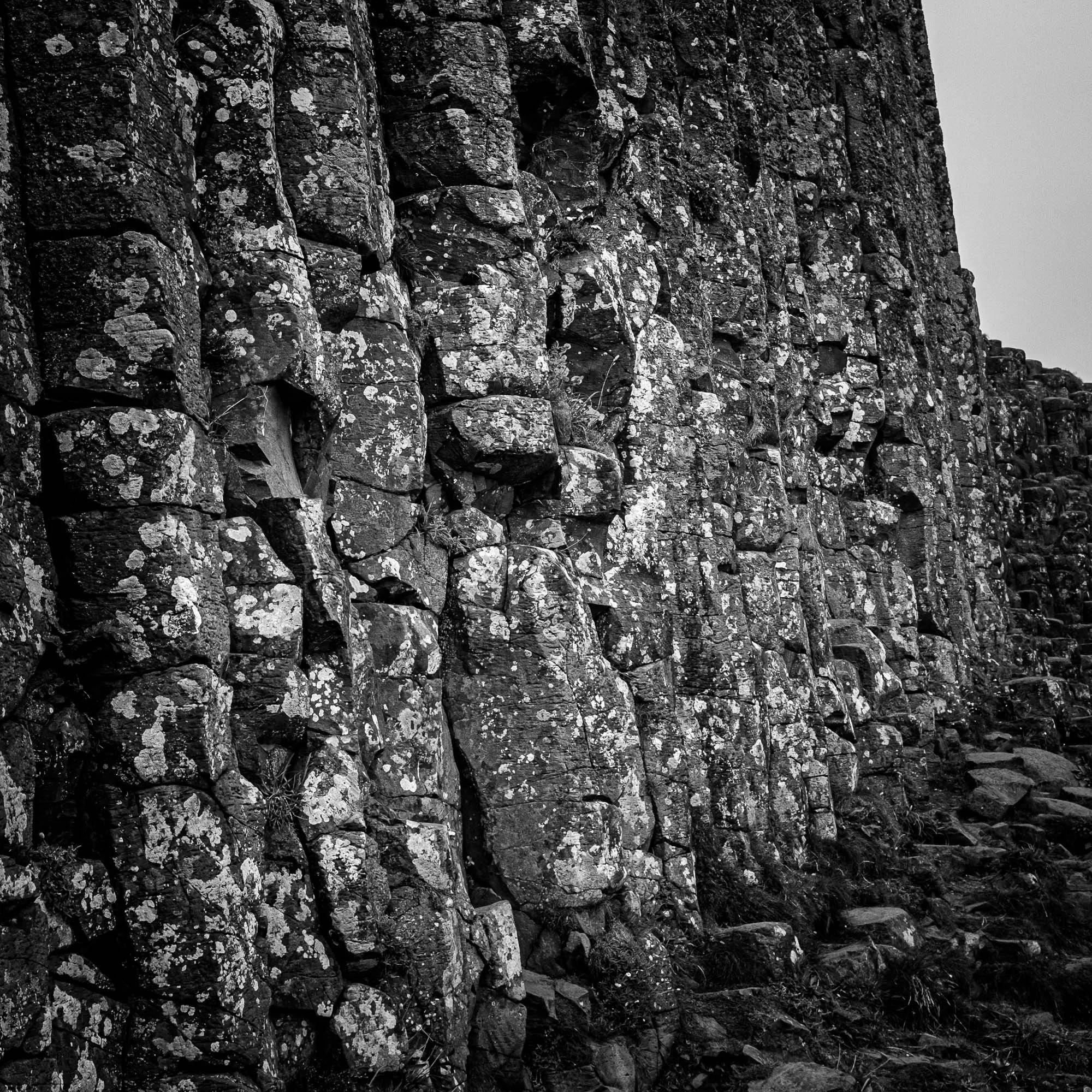 The Wall