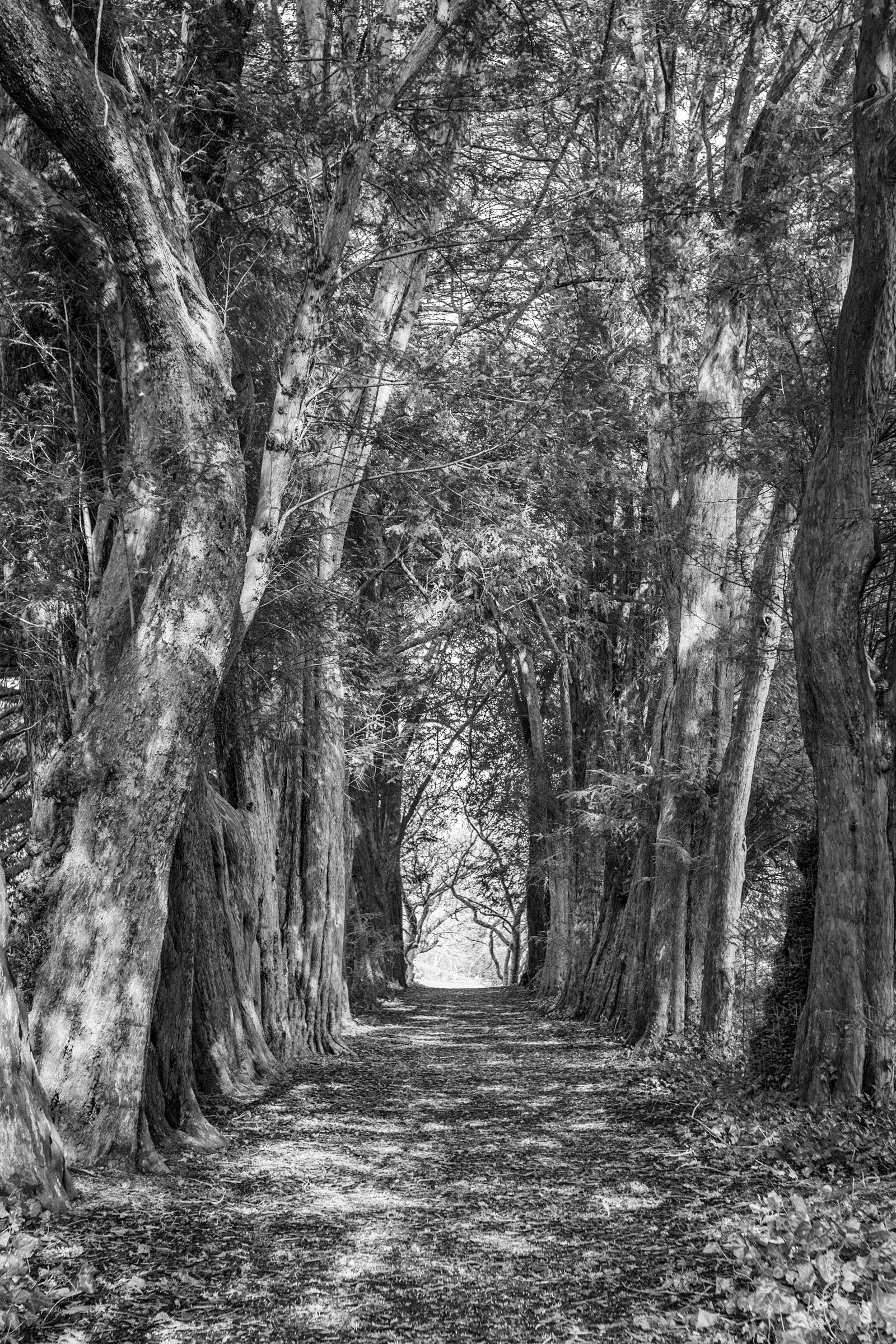 1803-Waterford-369-HDR-Edit.jpg
