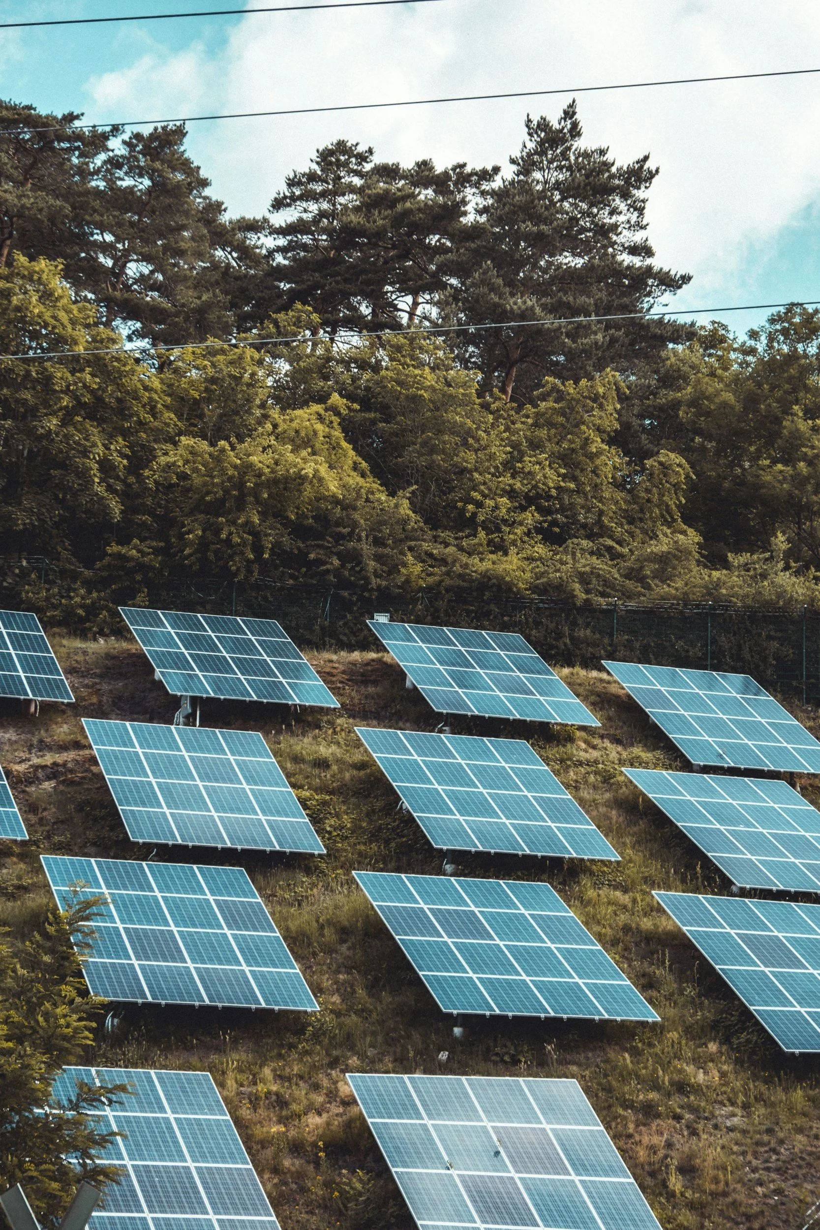 Multiple blue solar panels on a hillside with green trees and blue sky in the background.