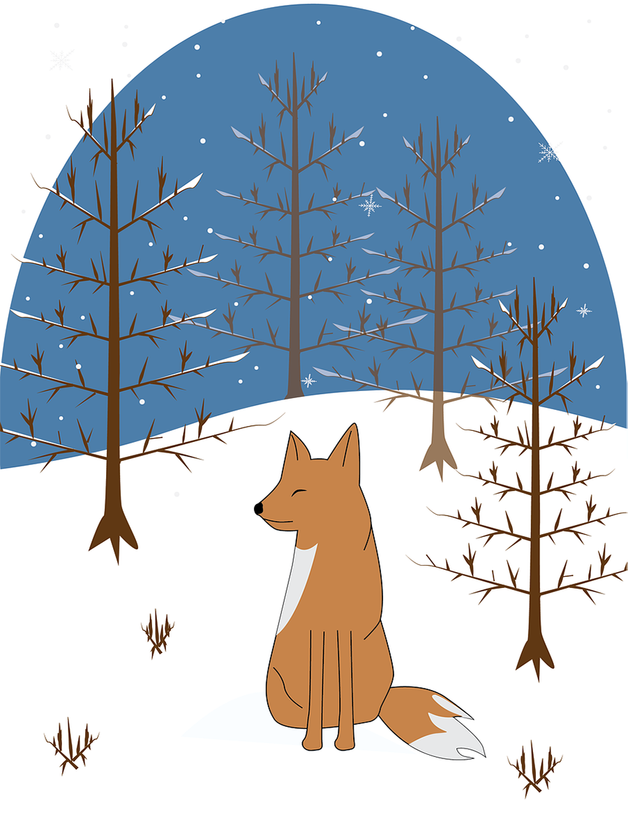 fox by jane doe