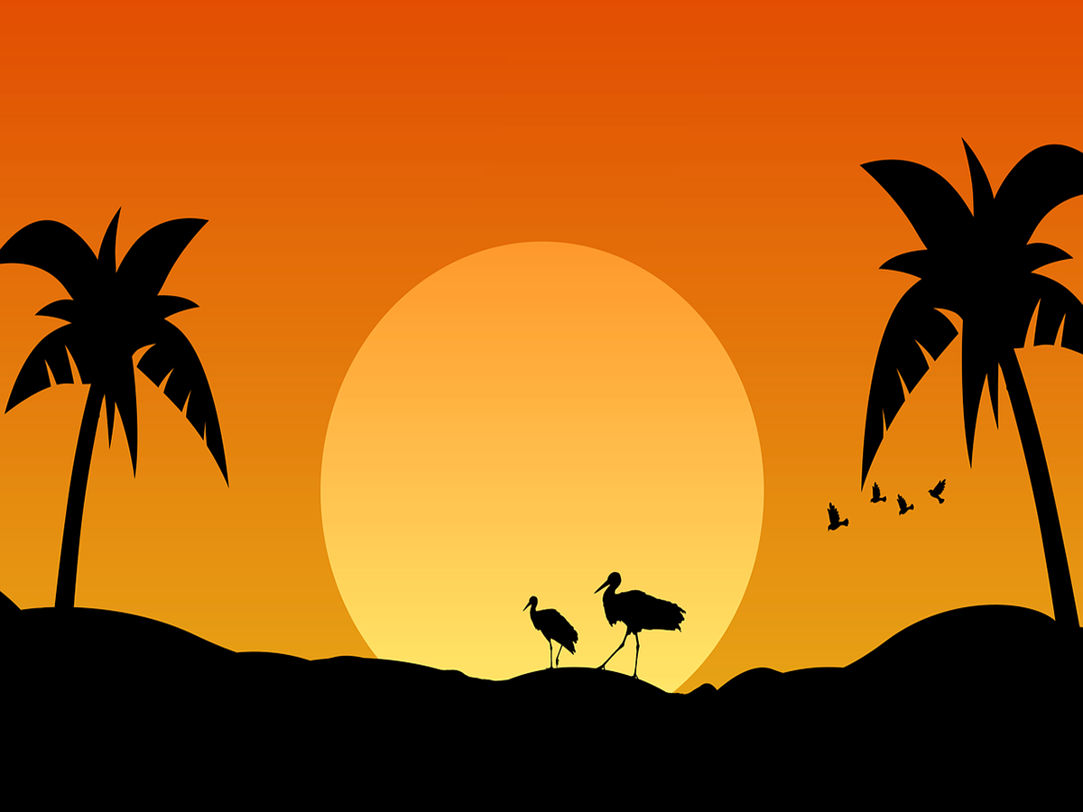 18x24_sunset.png