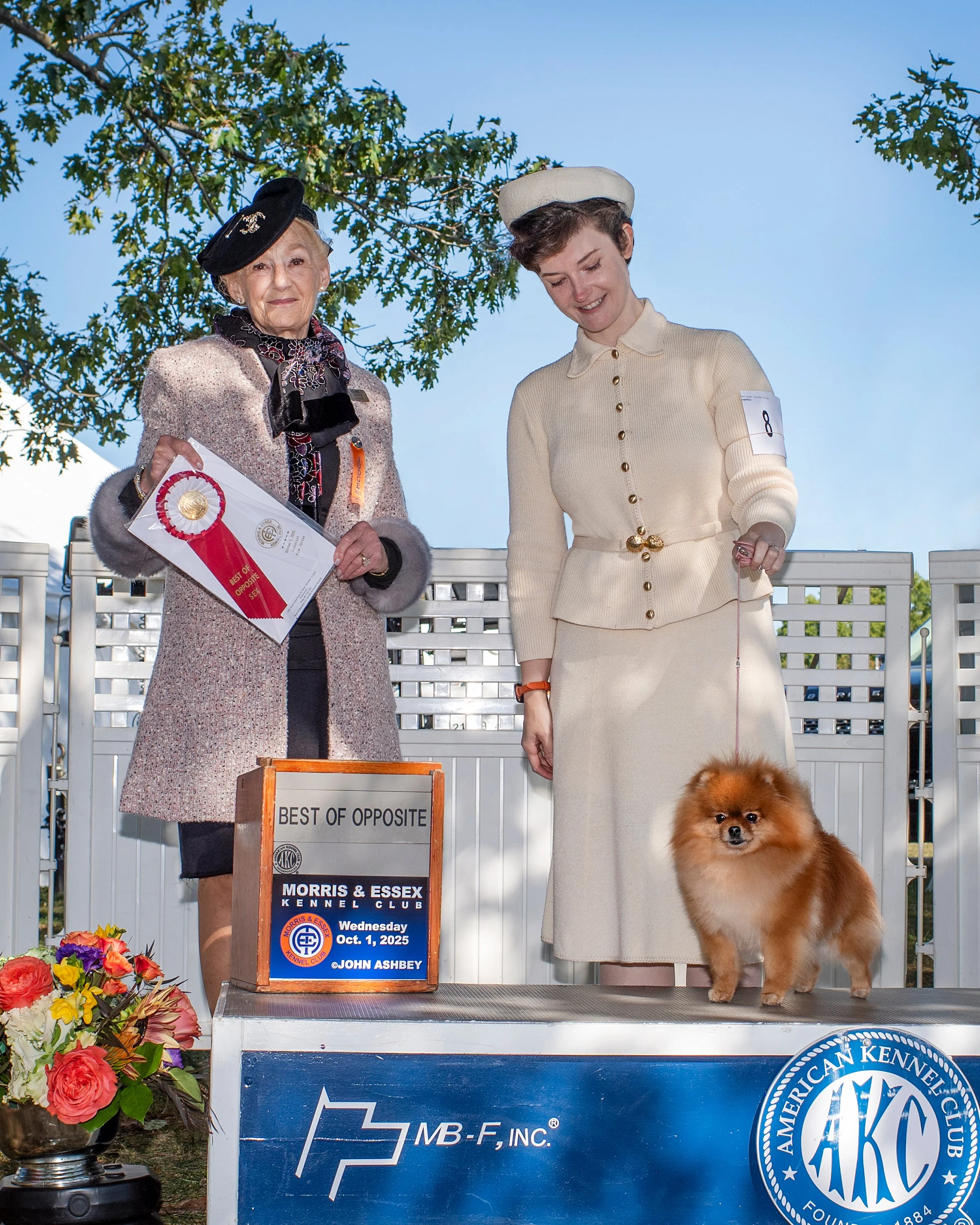 Two women dressed in 1940's attire stand for a dog show win photo, with an orange Pomeranian on the podium.