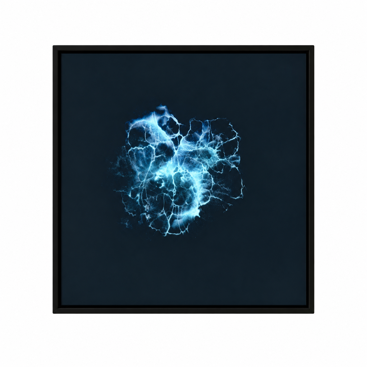 14bde9a8-9735-4629-8785-d088d6b7c849.png