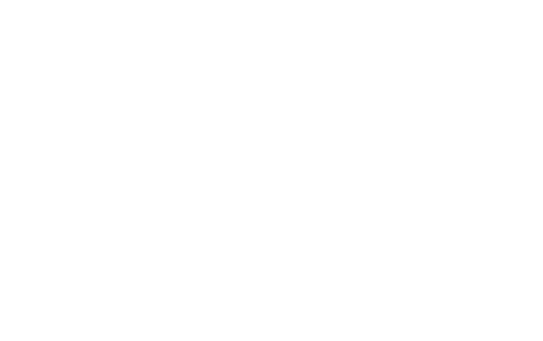LIATRIS MARKETING