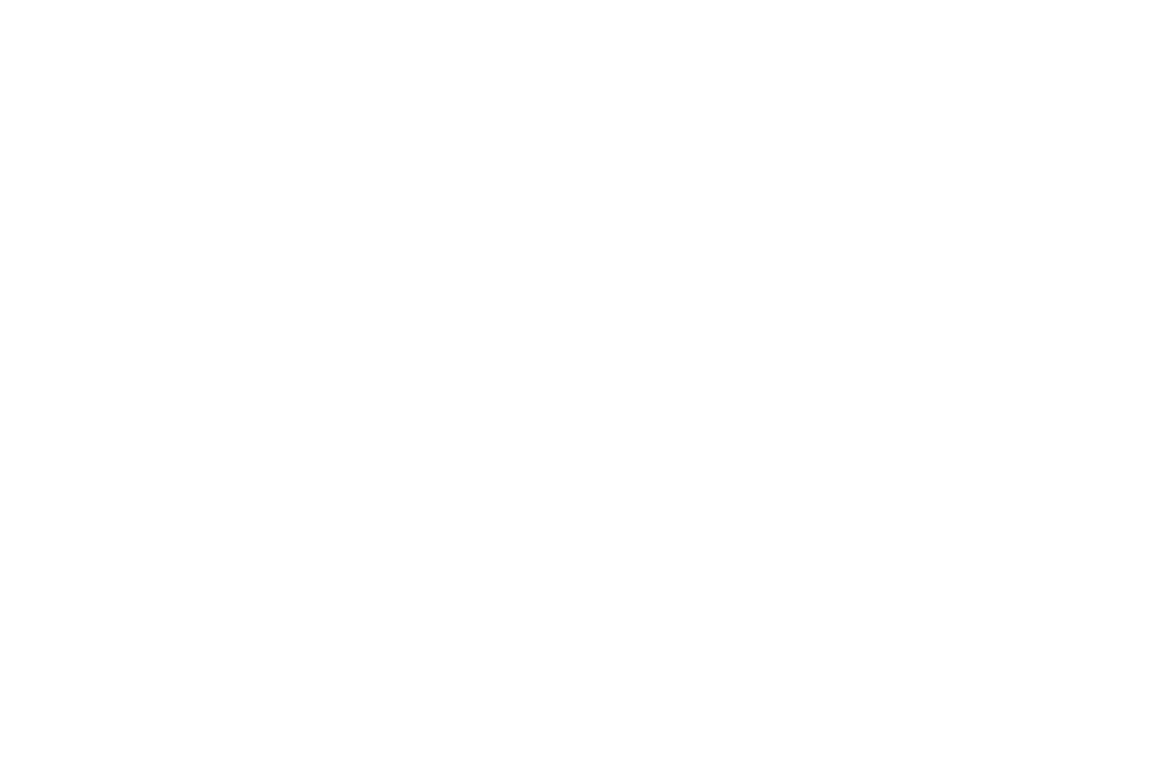 LIATRIS MARKETING