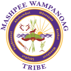 Emblem with a circular design featuring a green island with a tree, sun rays, water, and a spear, surrounded by text in a South African language and English.