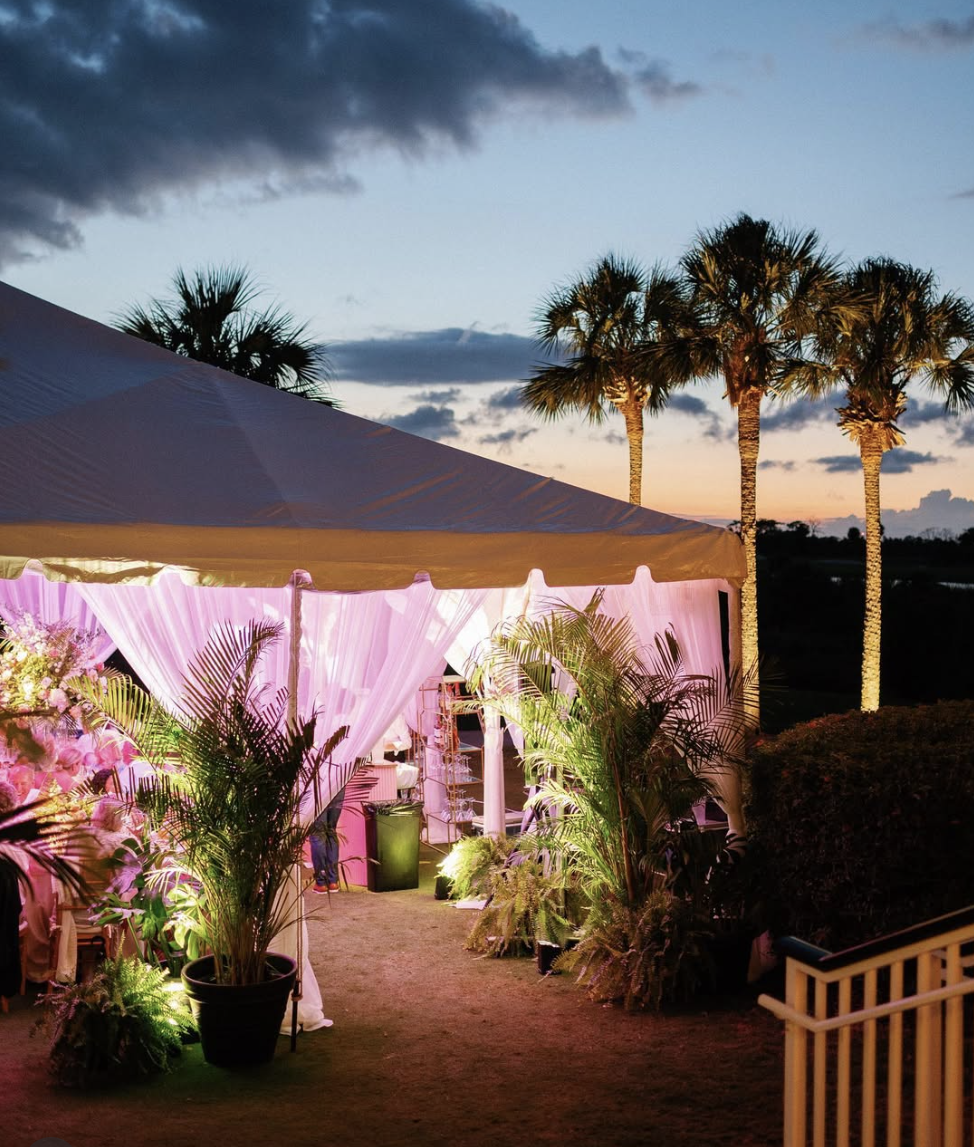 the foliage factory live plants for events