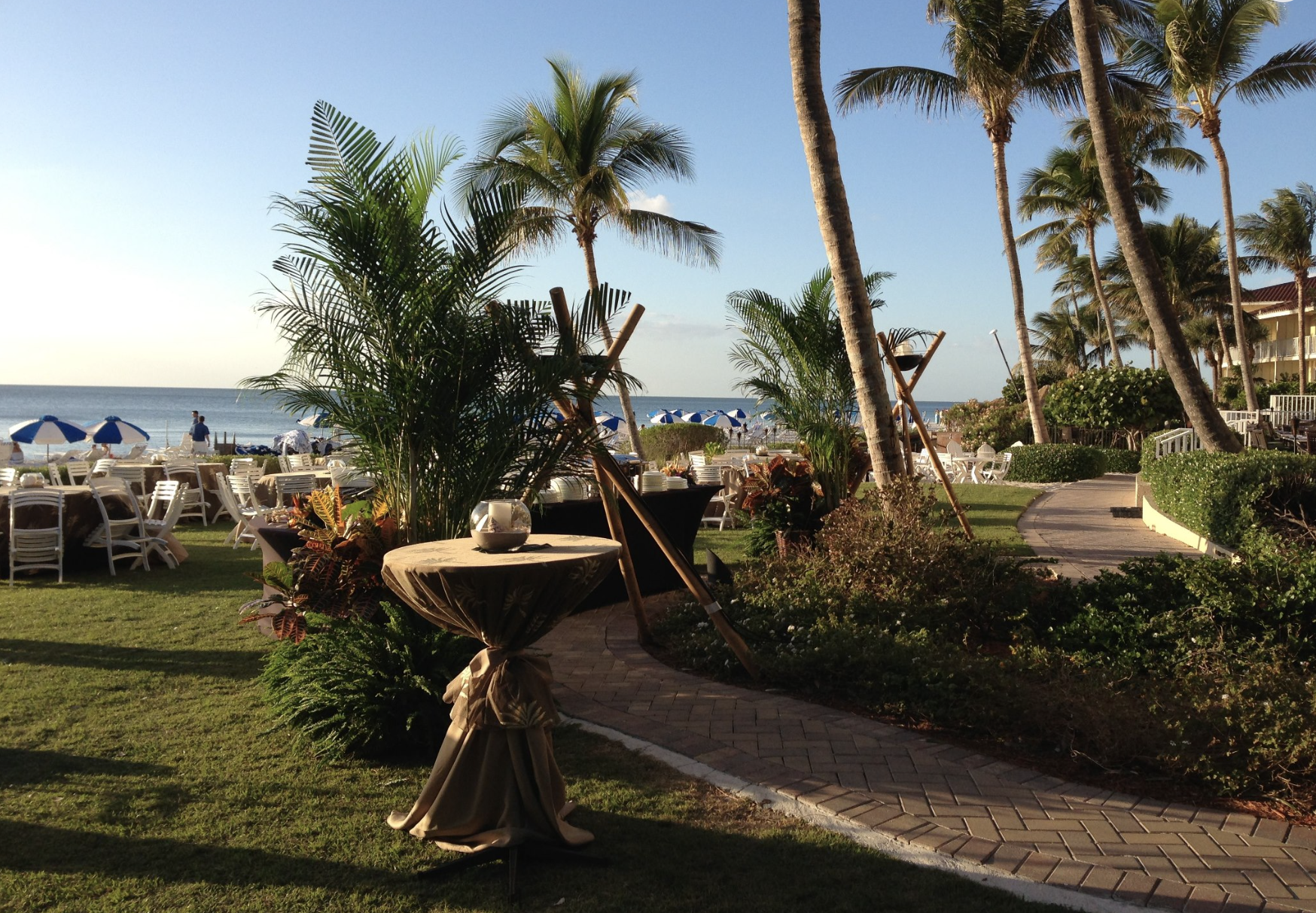 the foliage factory swfl, live plant rentals