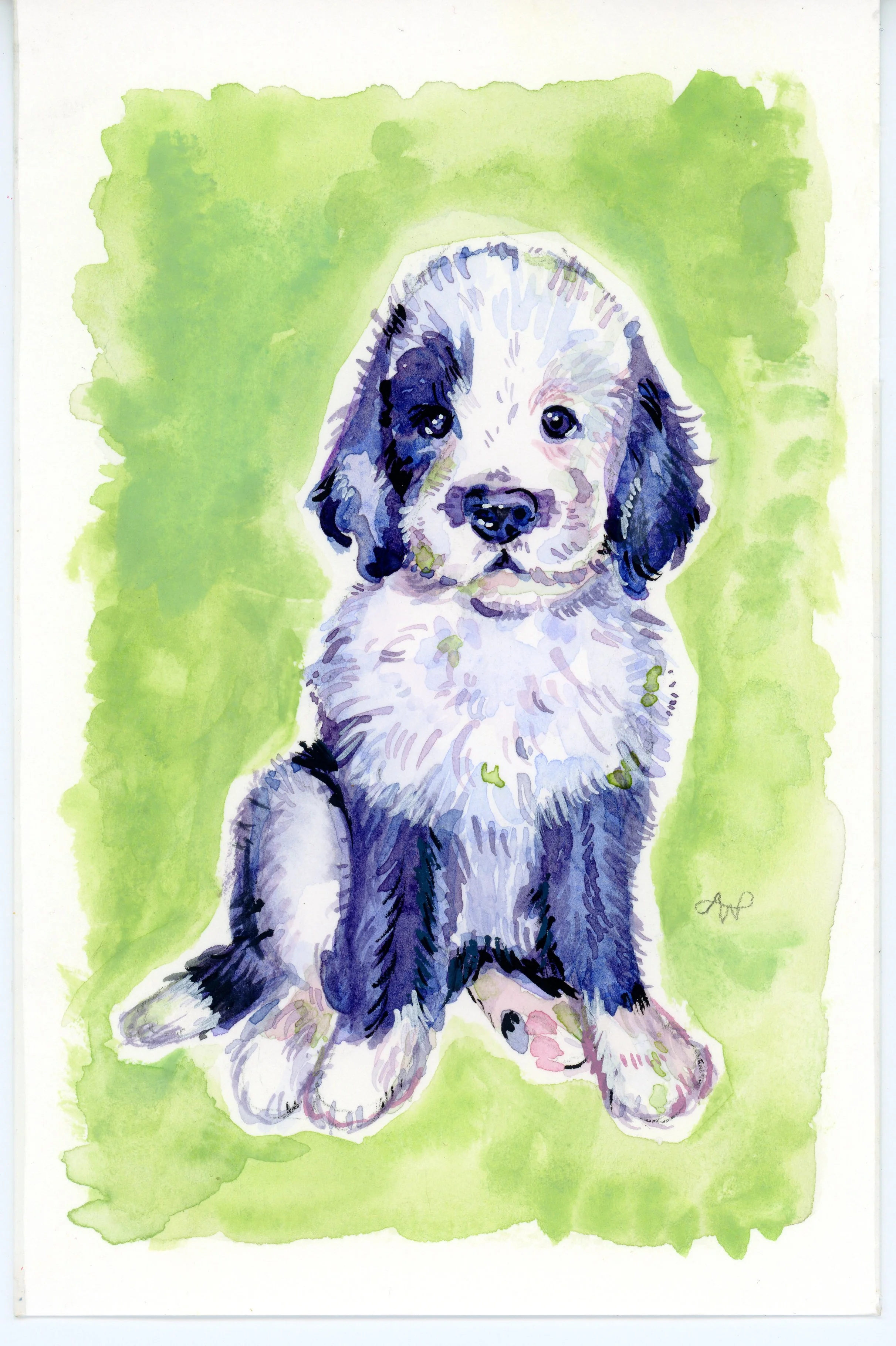 Old English Sheepdog, 6" x 4", watercolor on paper