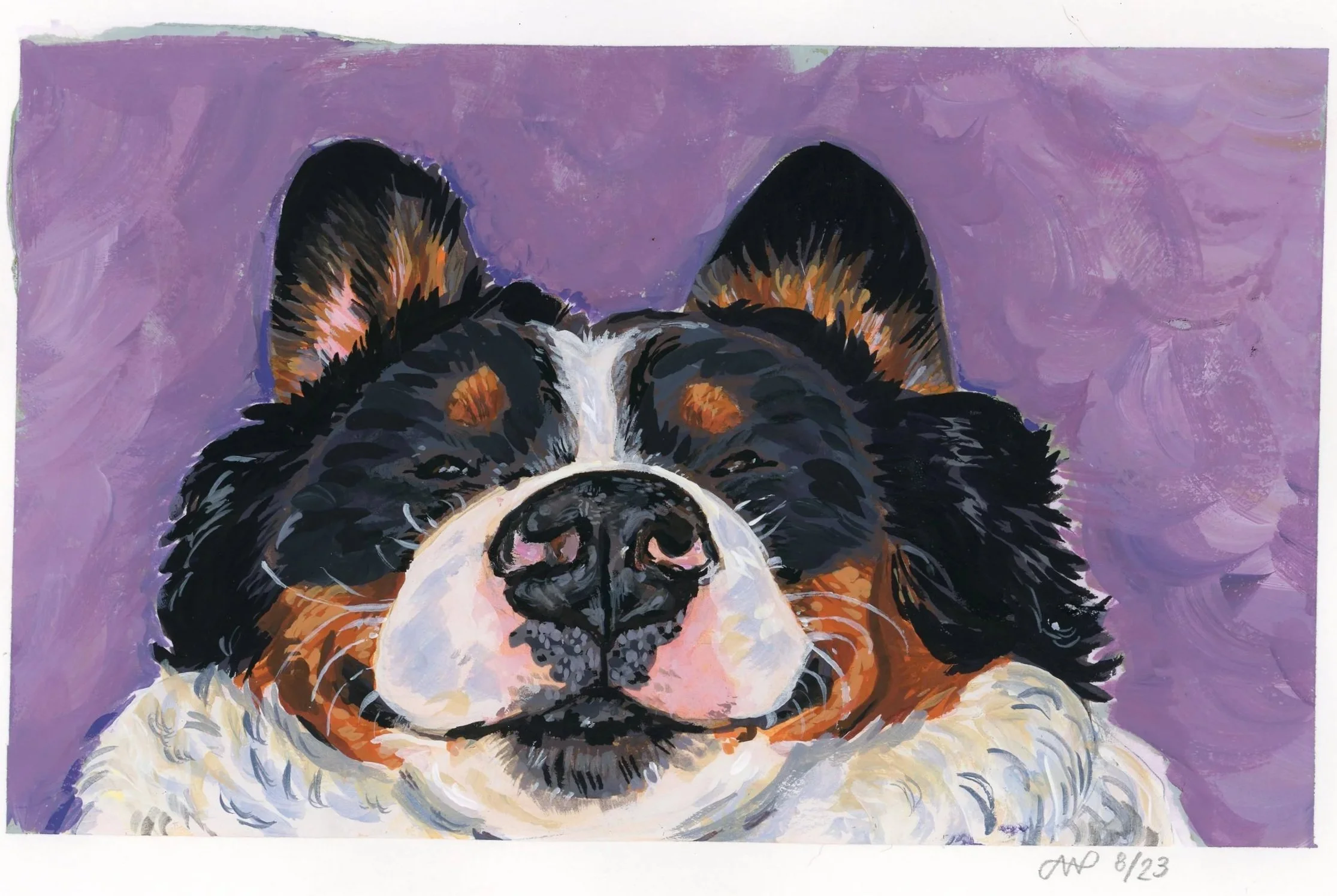 Bernese Mountain Dog, 6" x 9", gouache on 300 gsm cold press paper