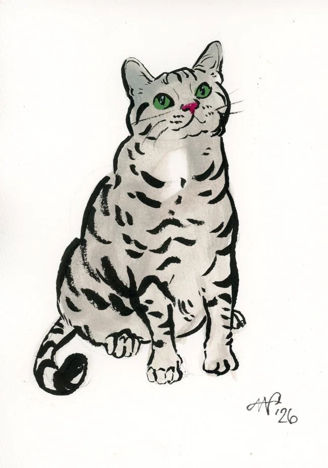 gray-tabby.jpg