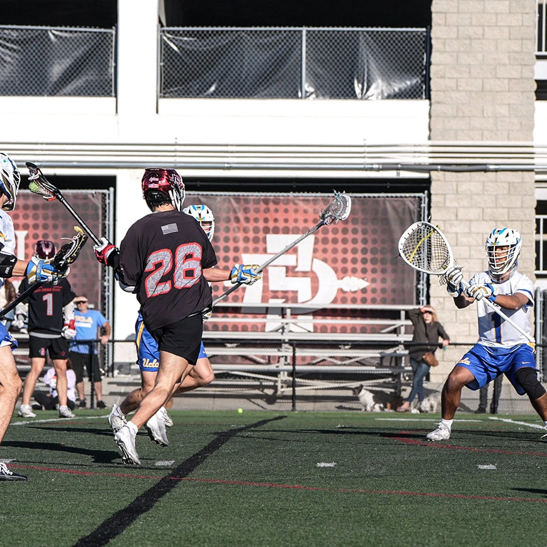 350-1.jpg