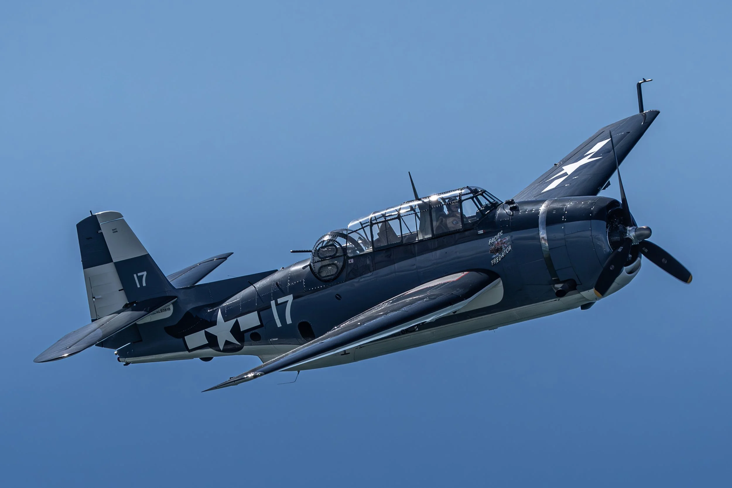 ACF08514.jpg