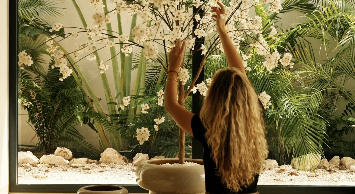 An indoor space with a large potted tree with green leaves next to a window with beige curtains, and part of a marble dining table with beige upholstered chairs.
