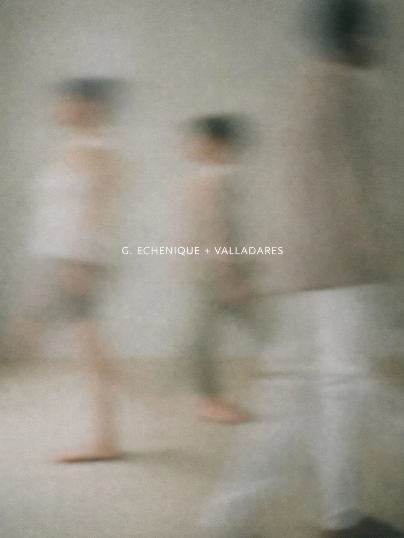 G. Echenique + Valladares

Arquitectura &amp; Interiorismo