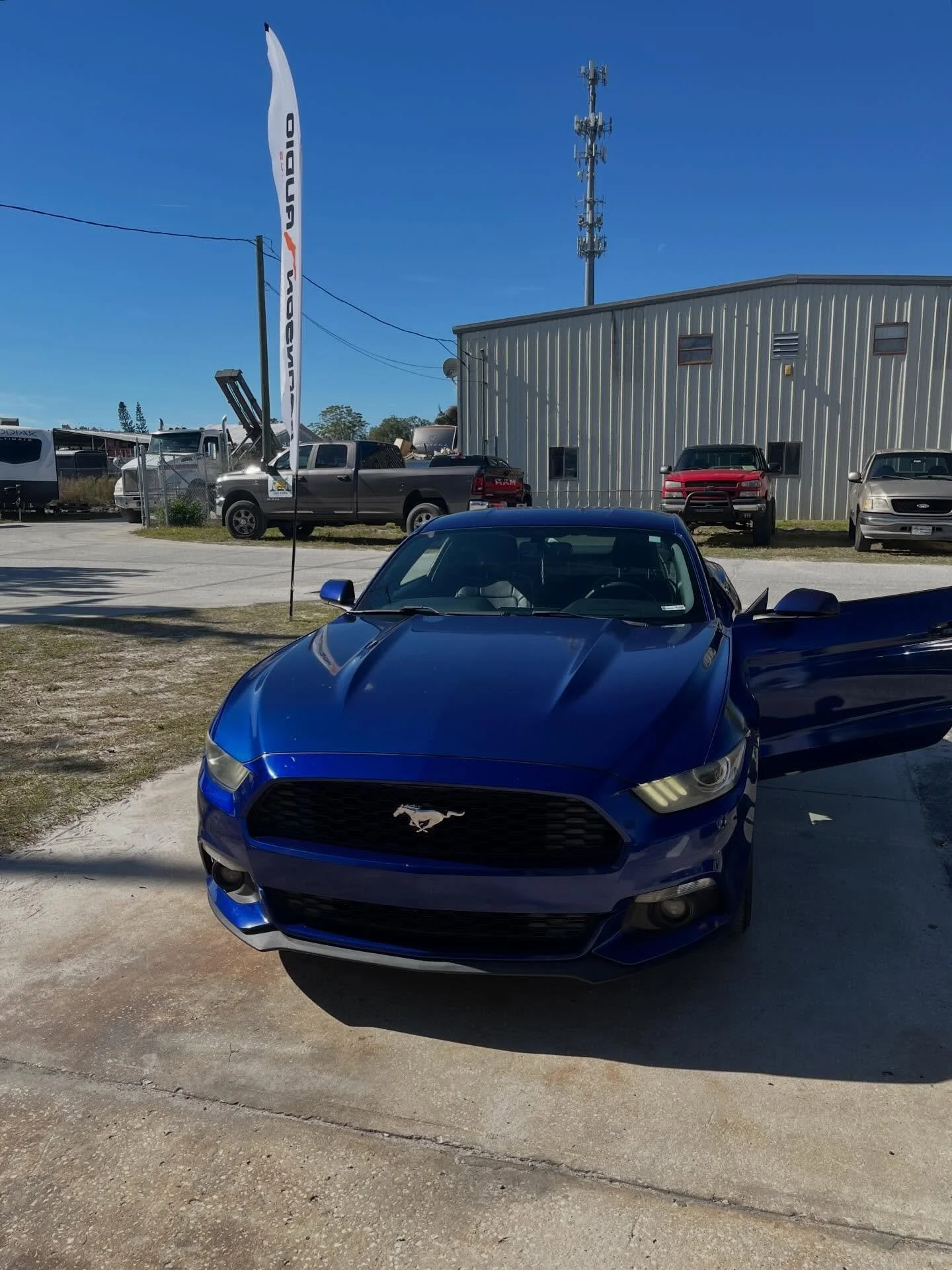 Ford Mustang High-Output Audio Upgrade