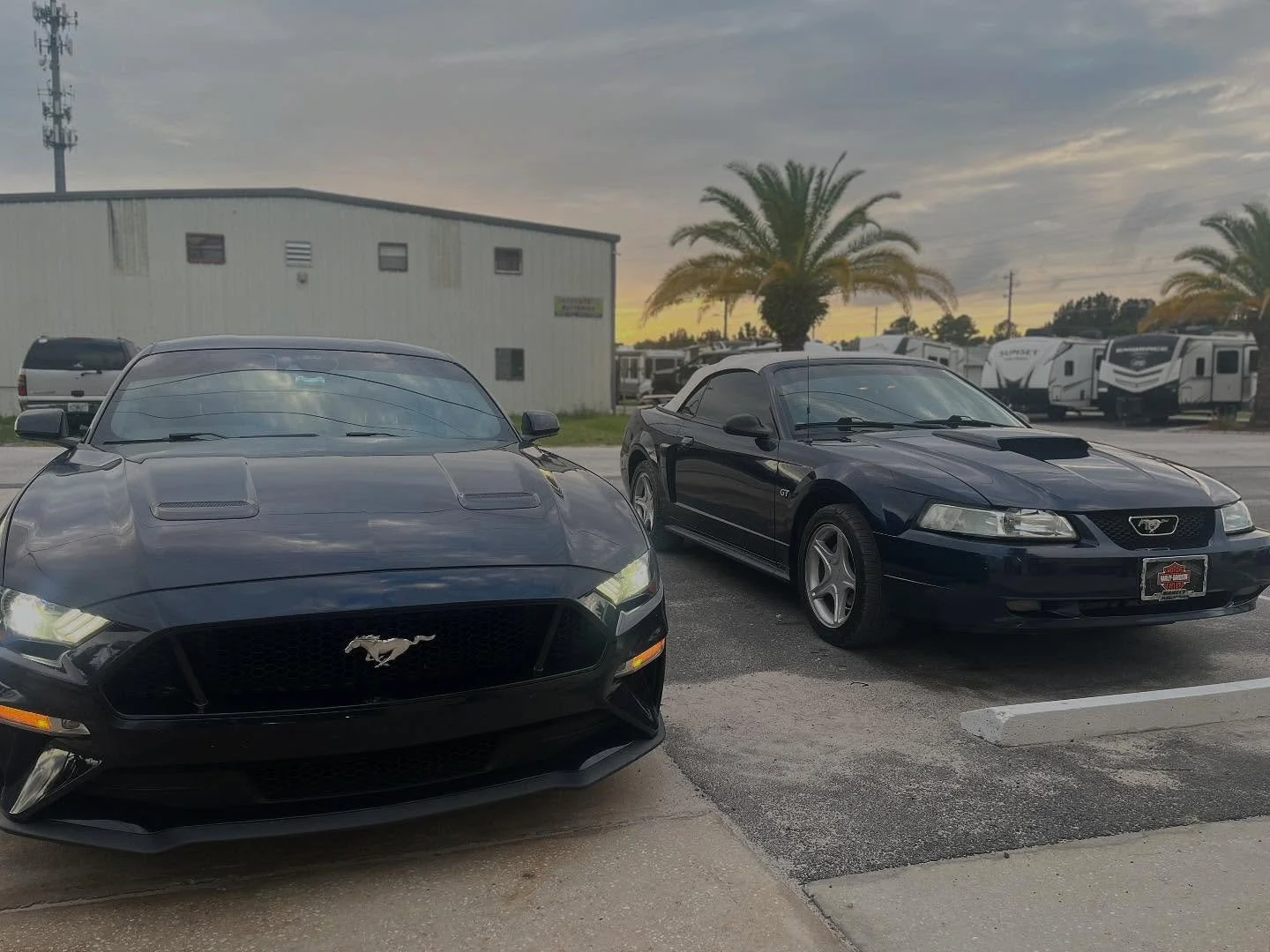 Tavares Fl shop custom audio, lighting, visuals, and fabrication on high-end and exotic cars, including Mustangs.