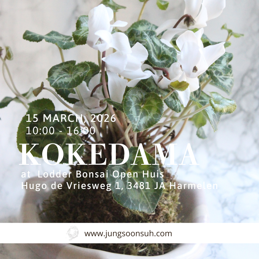 KOKEDAMA Workshop