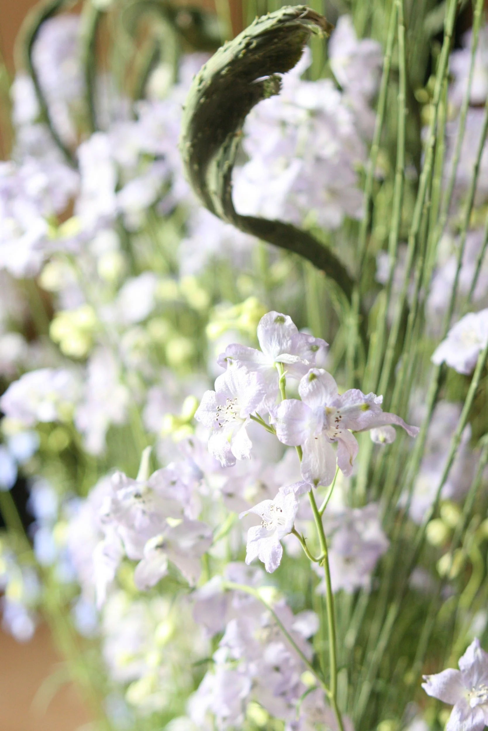 Flower-Arrangement_JungoonSuh_02.jpg