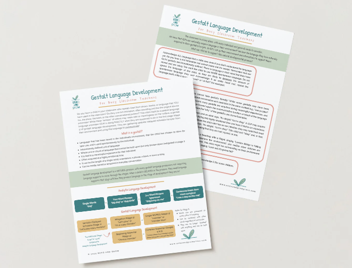 Gestalt Language Processing Classroom Supports Educational Handout