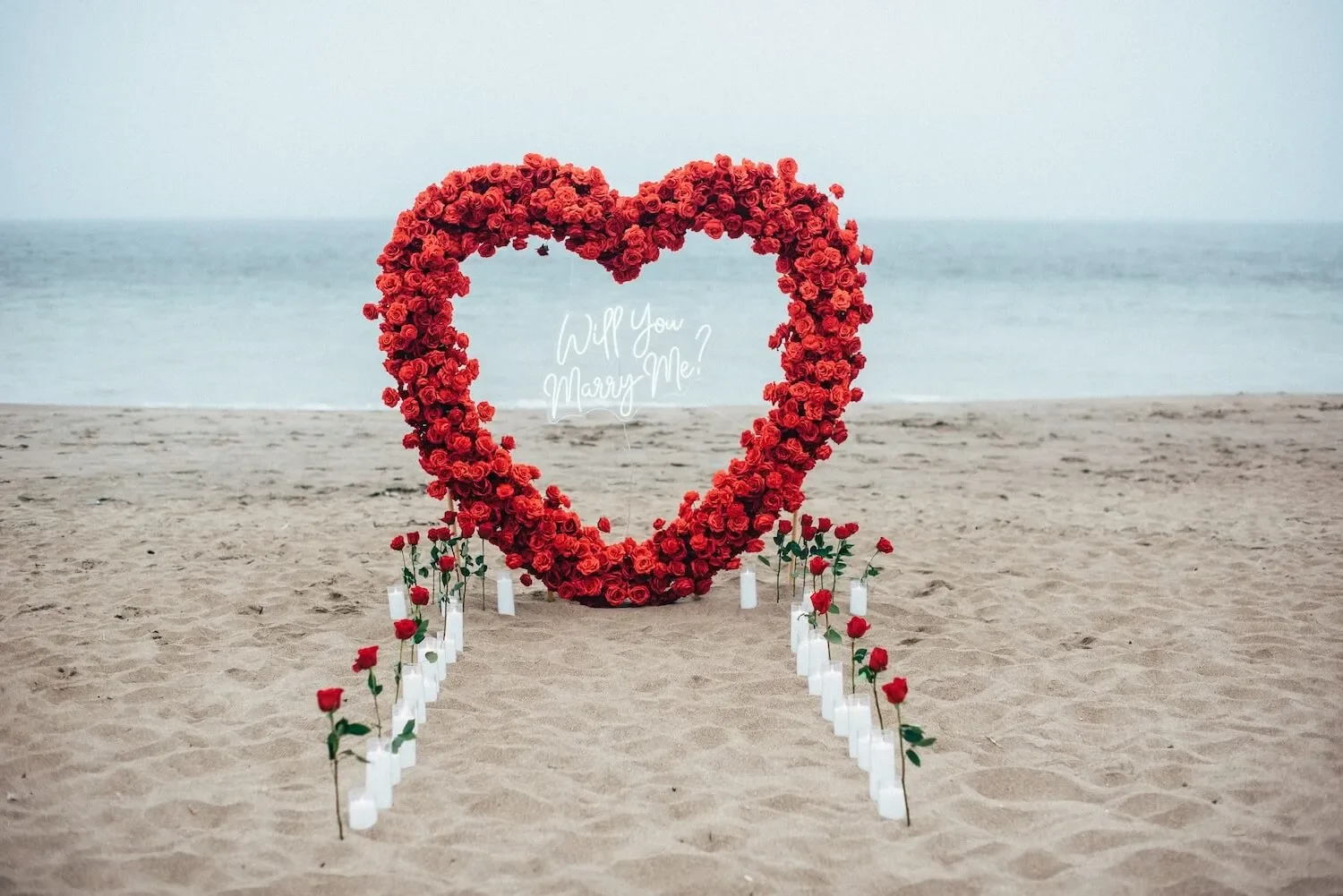 Proposal