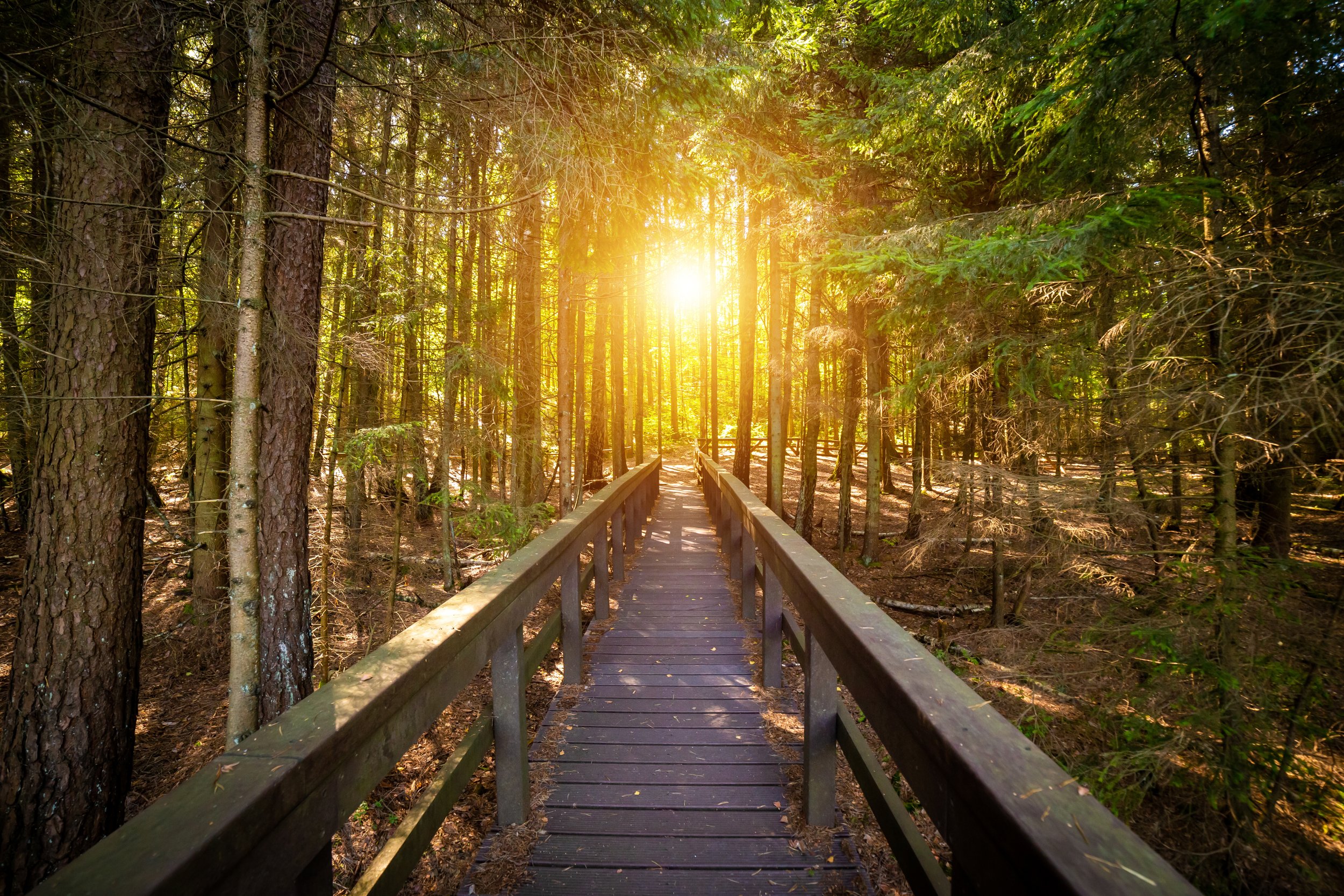 The Spirit Will Guide Us