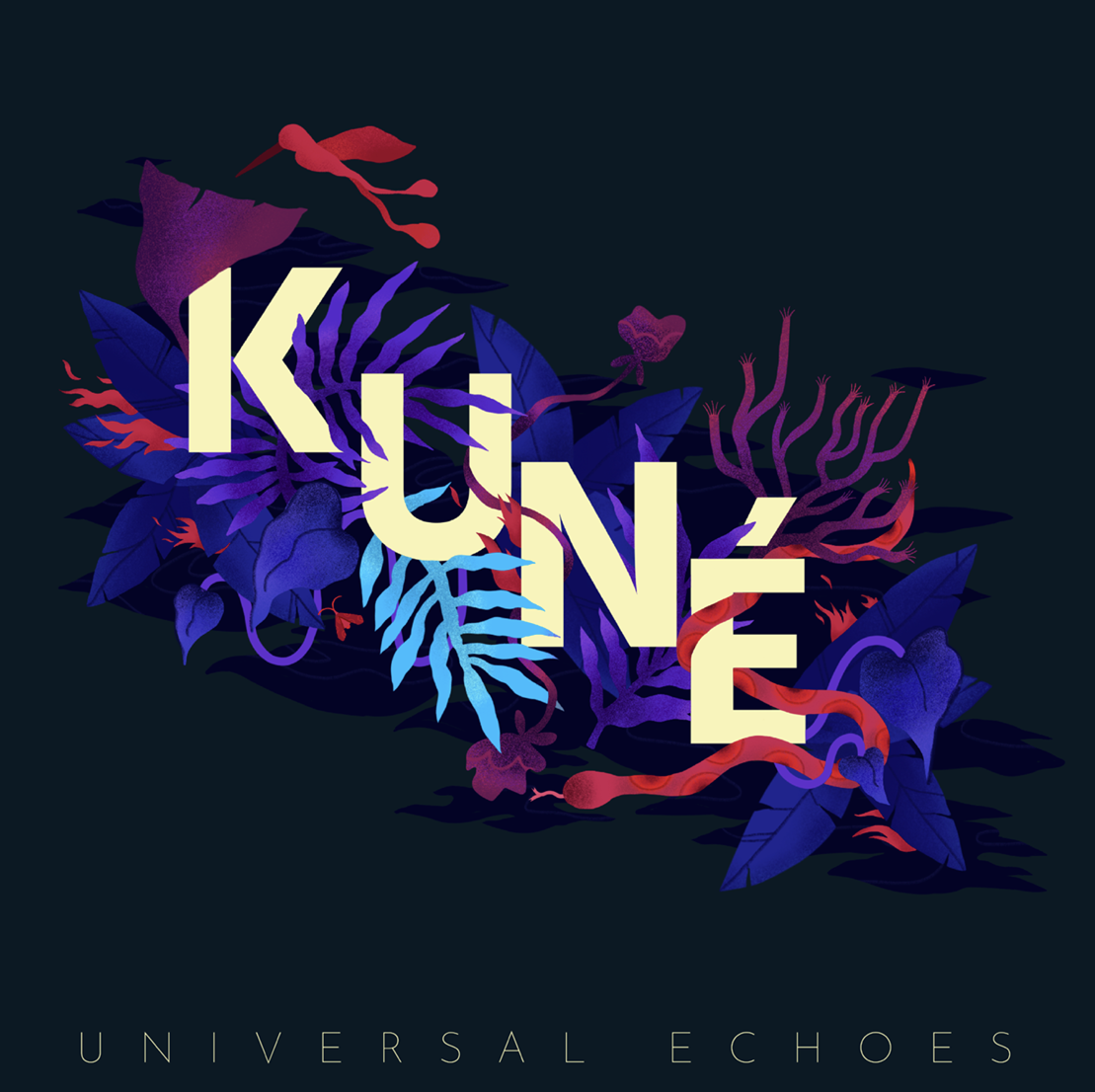 Universal Echoes