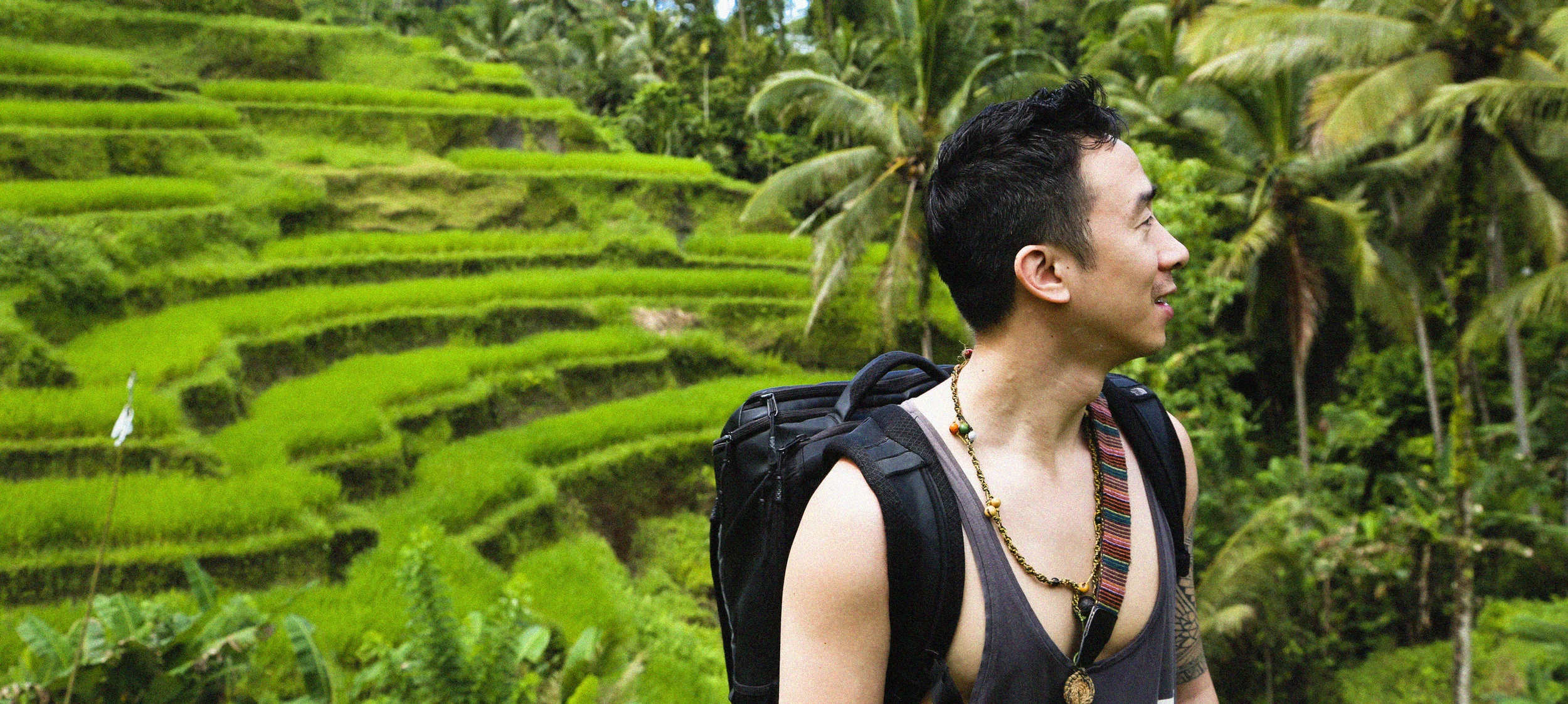        Tegalalang Rice Terrace
