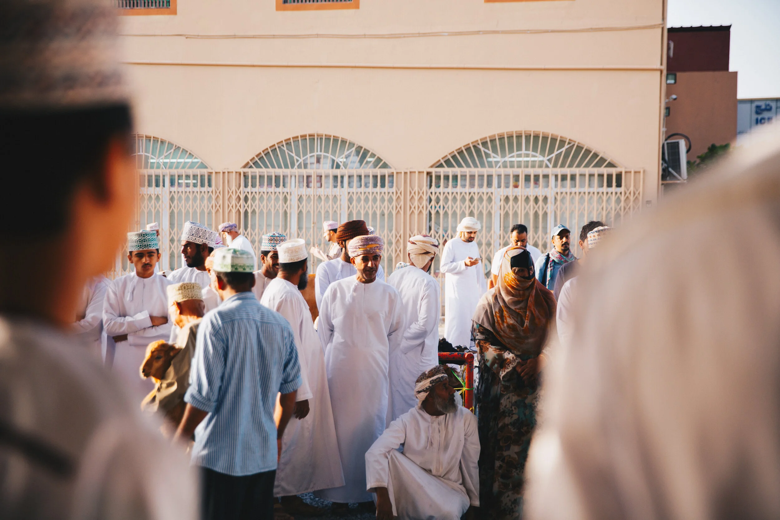 Oman_Adventures30.jpg