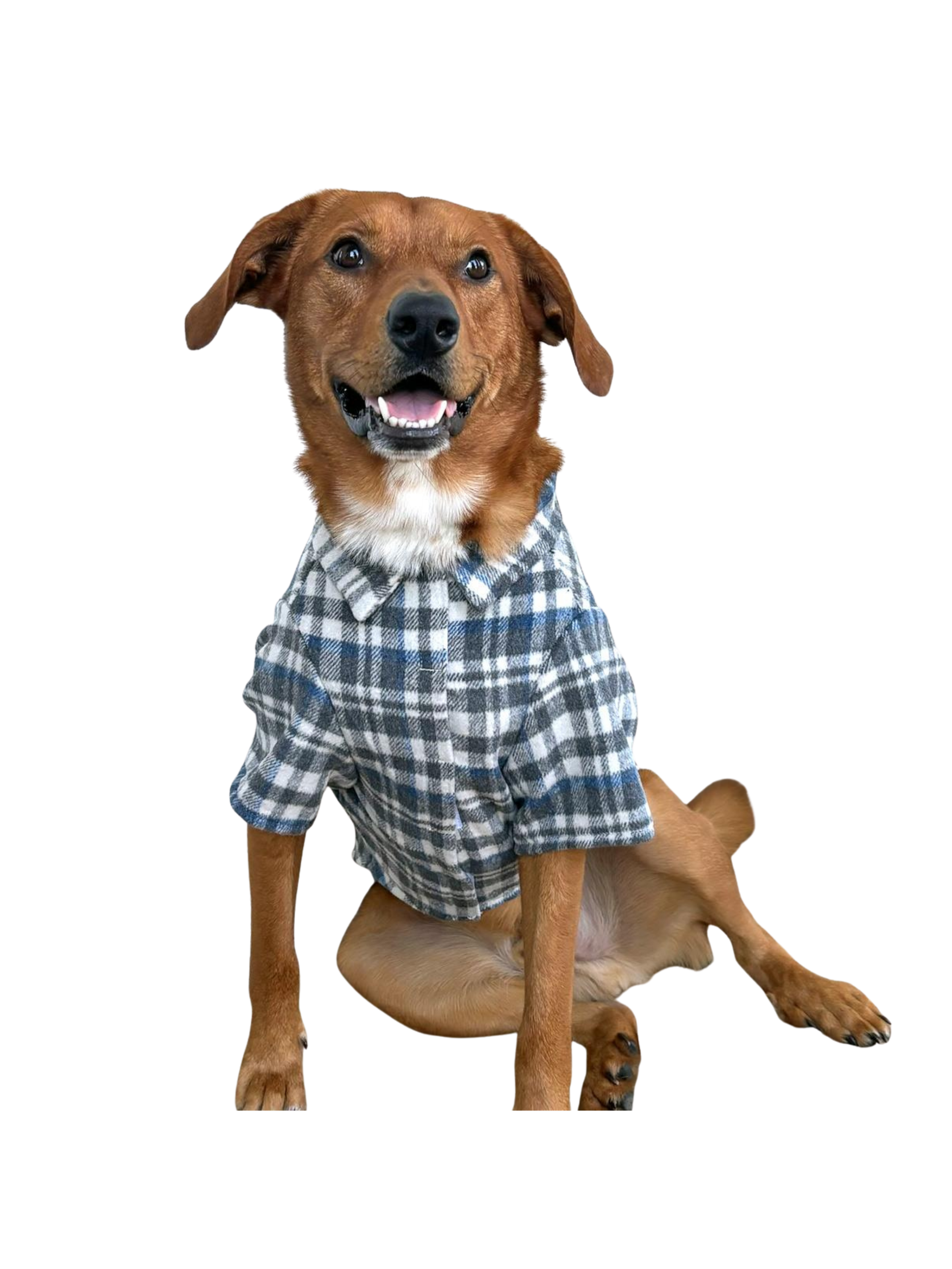 Flannel Dog Shirt - Gray and Blue Plaid