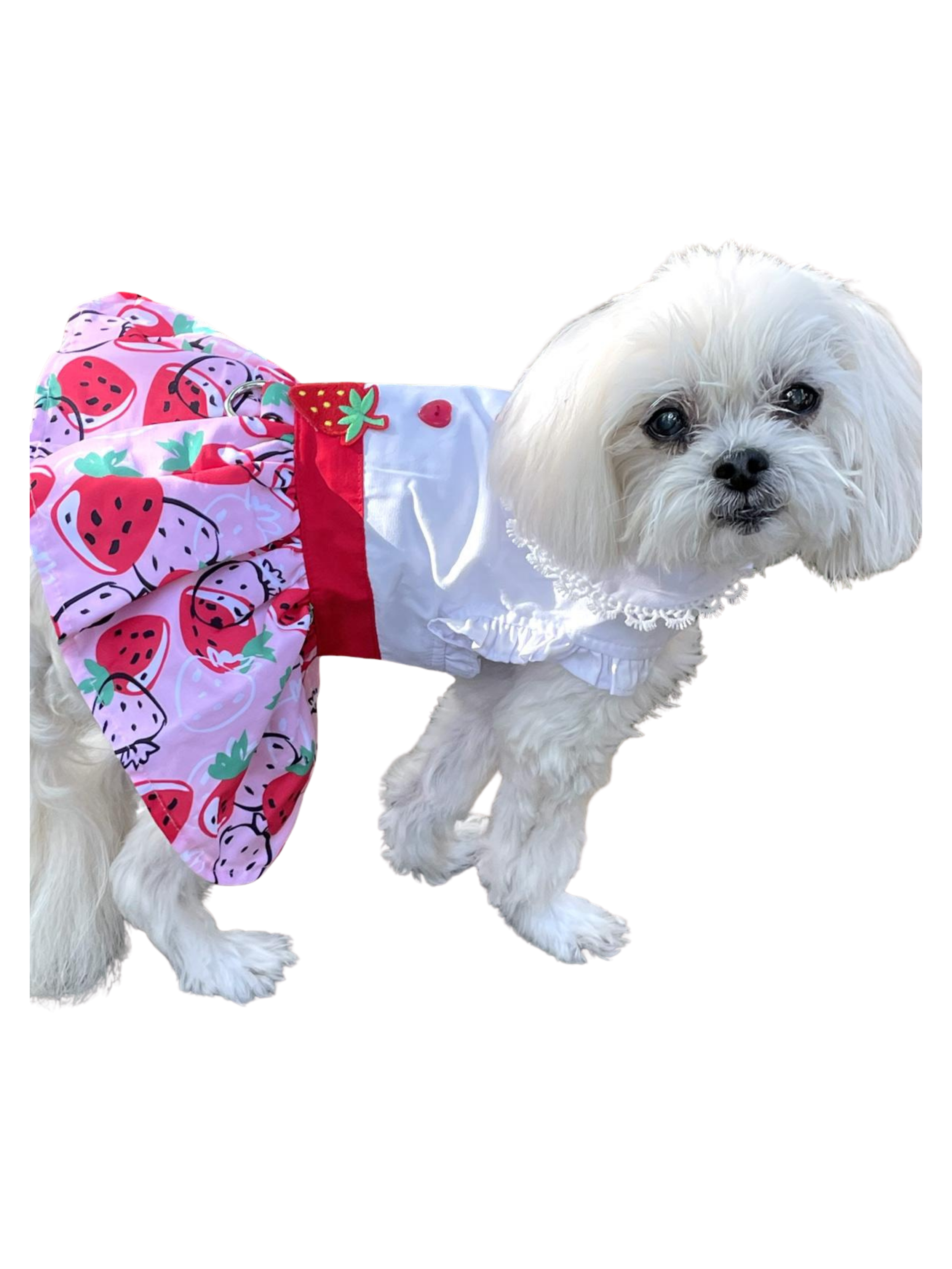 Untitled design - 8.PNG