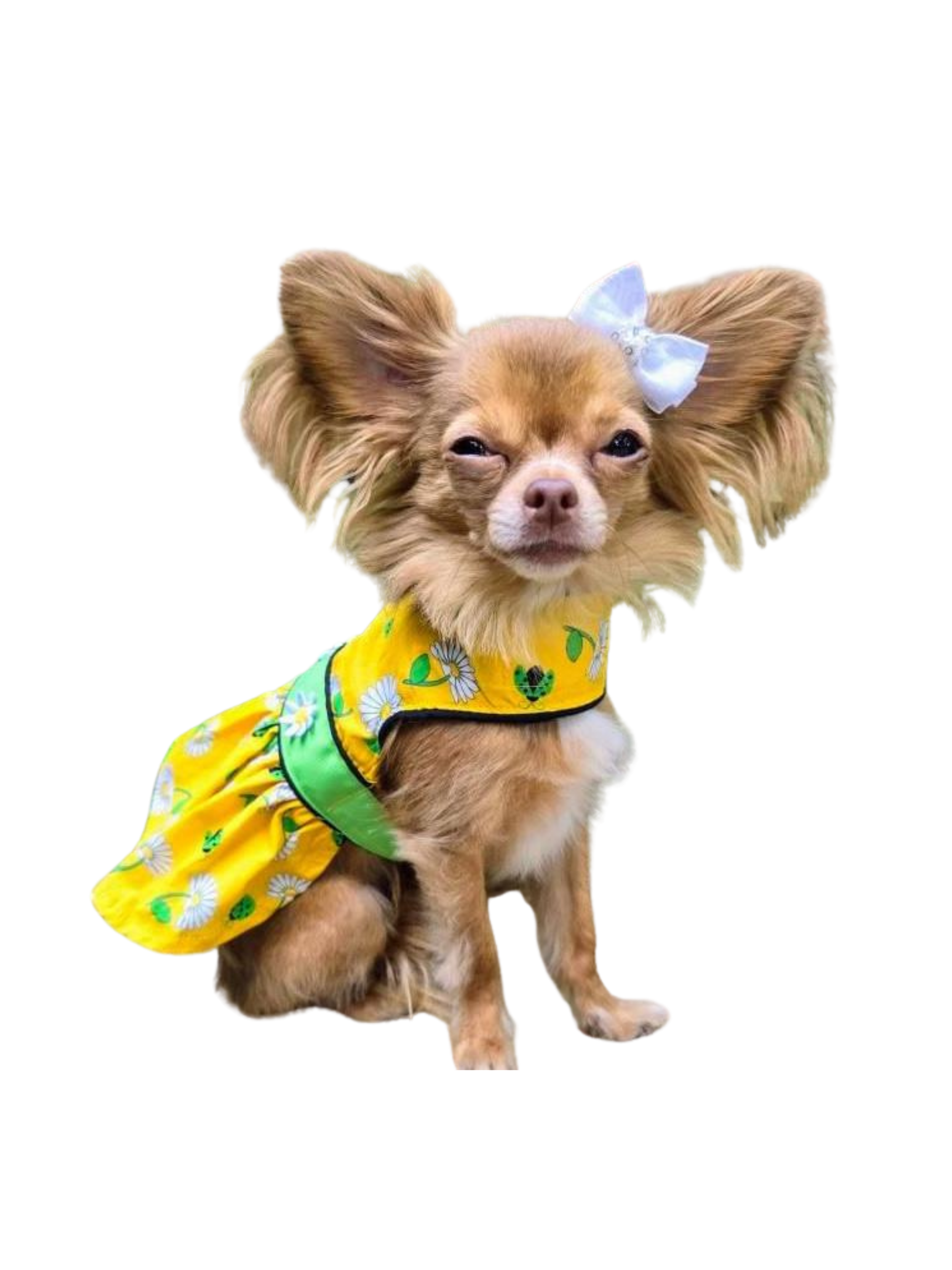 Untitled design - 25.PNG