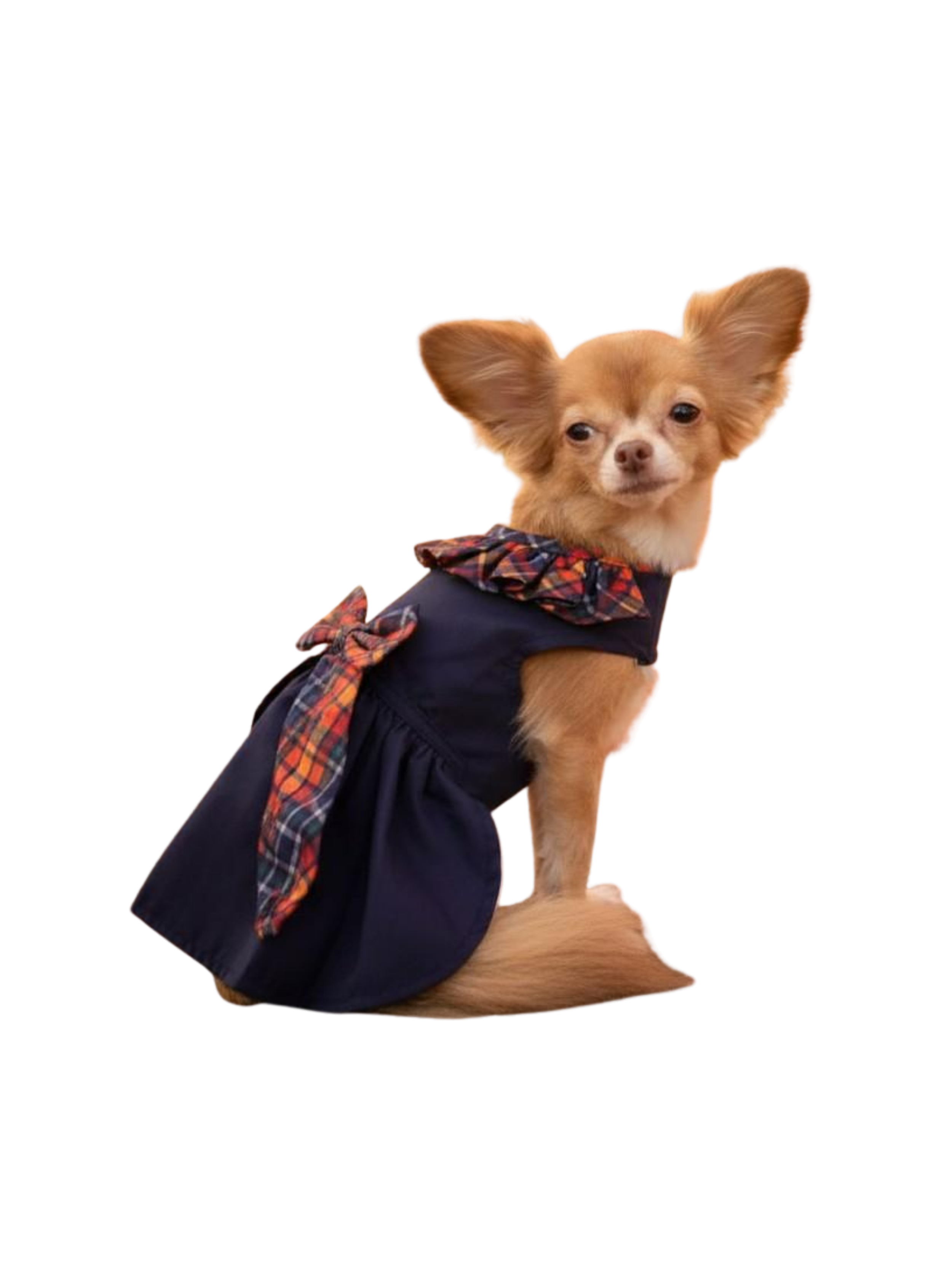 Untitled design - 21.PNG