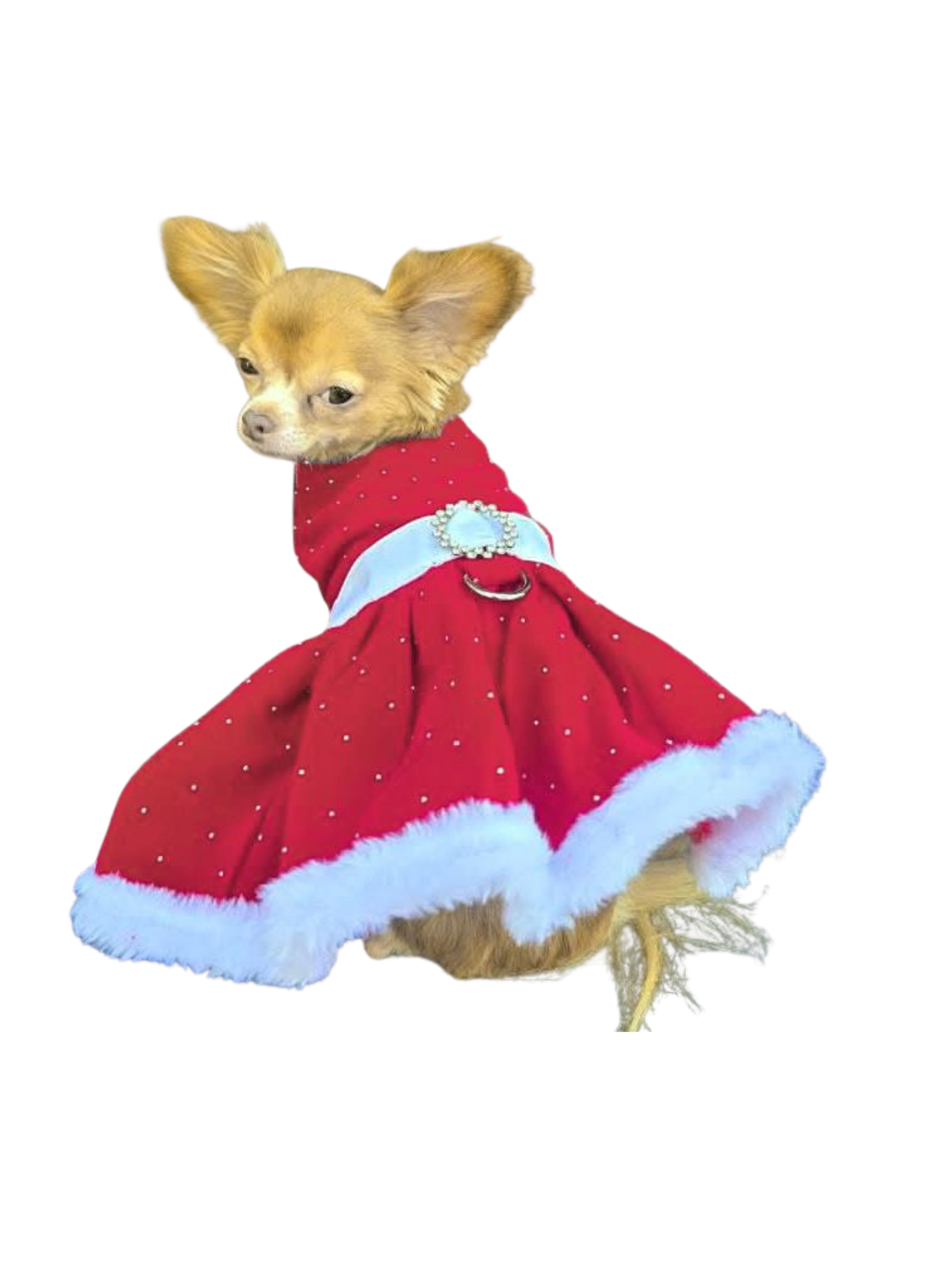 Untitled design - 4.PNG