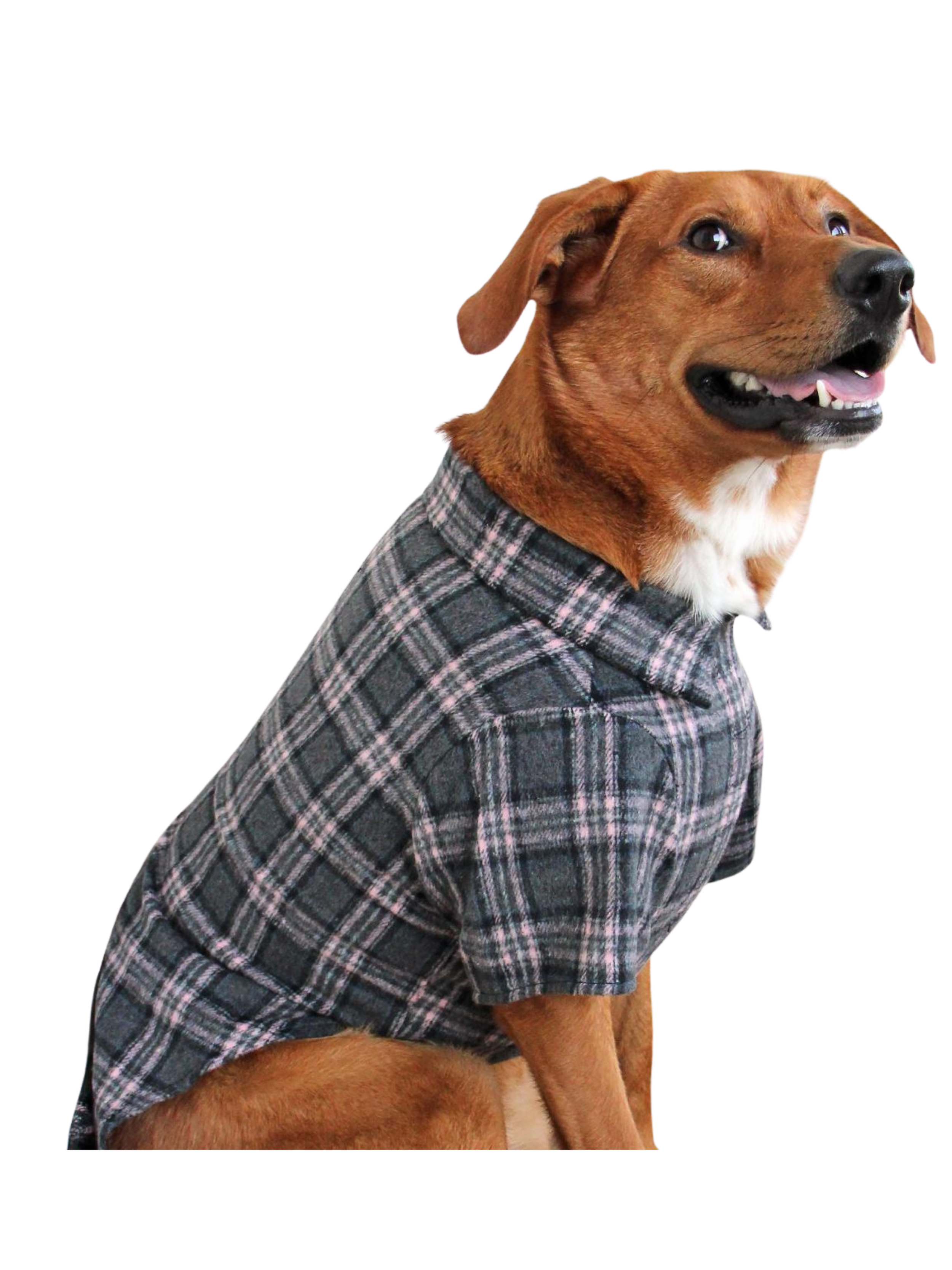 Flannel Dog Shirt - Dark Gray and Pink Plaid