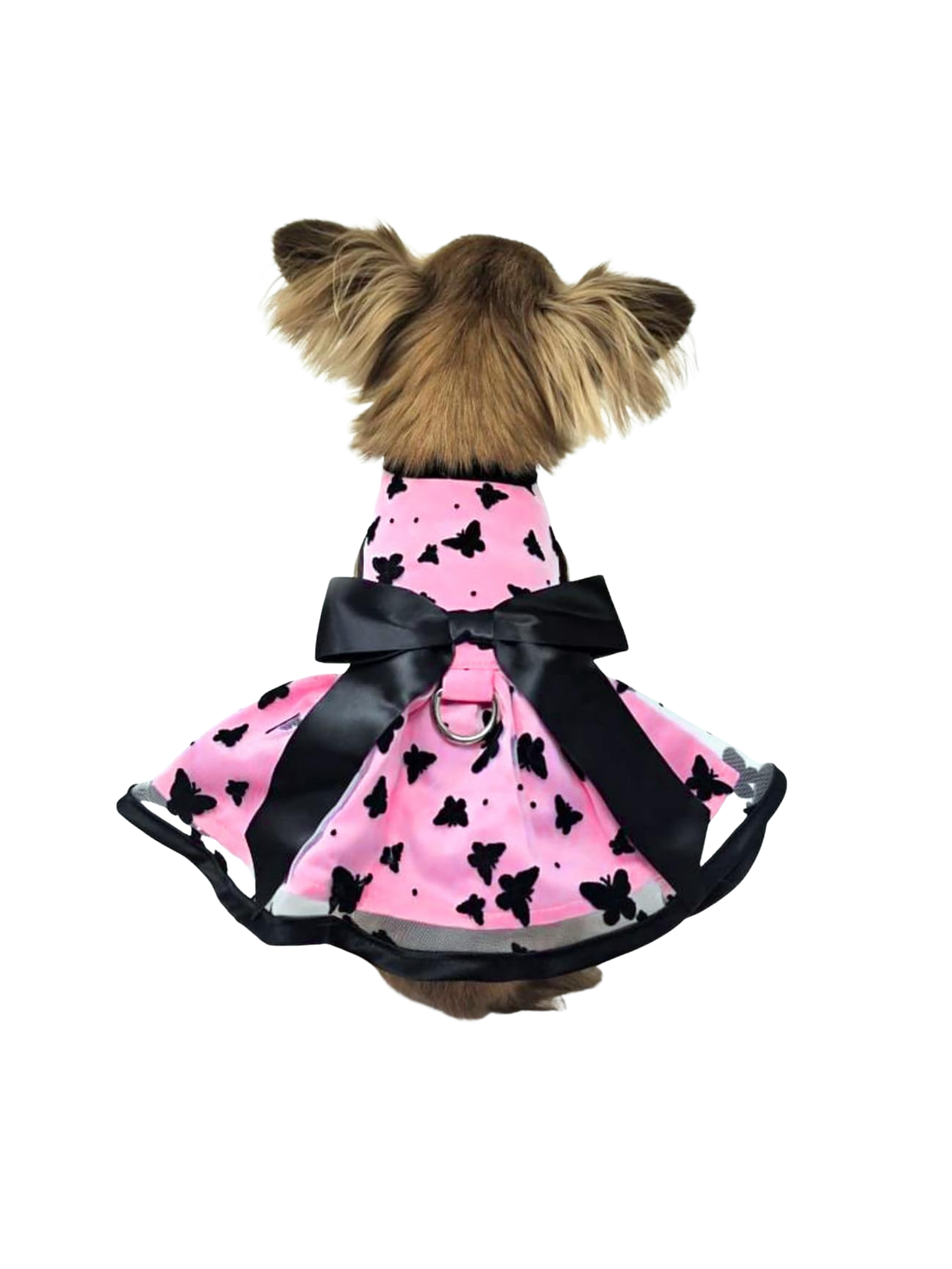 PuffinPawsBoutique (1).png