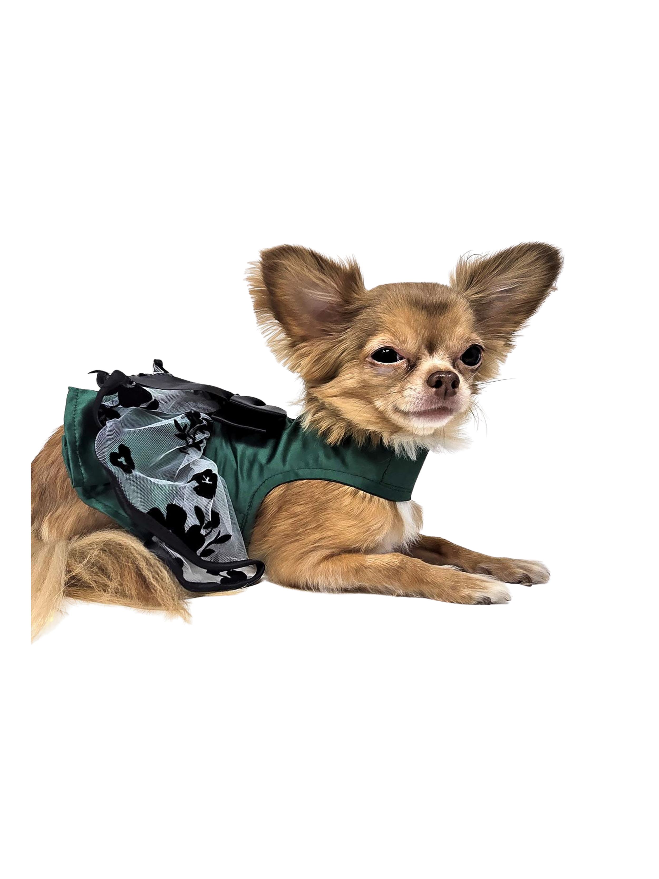 Green and Black Satin Dog Dress
