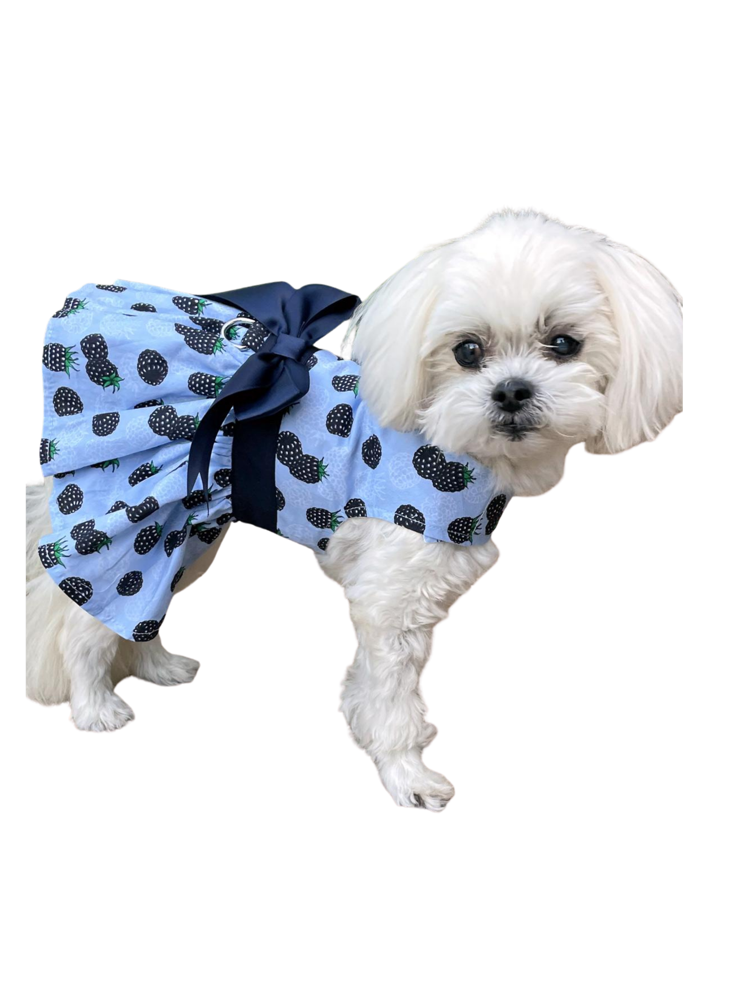 Untitled design - 18.PNG