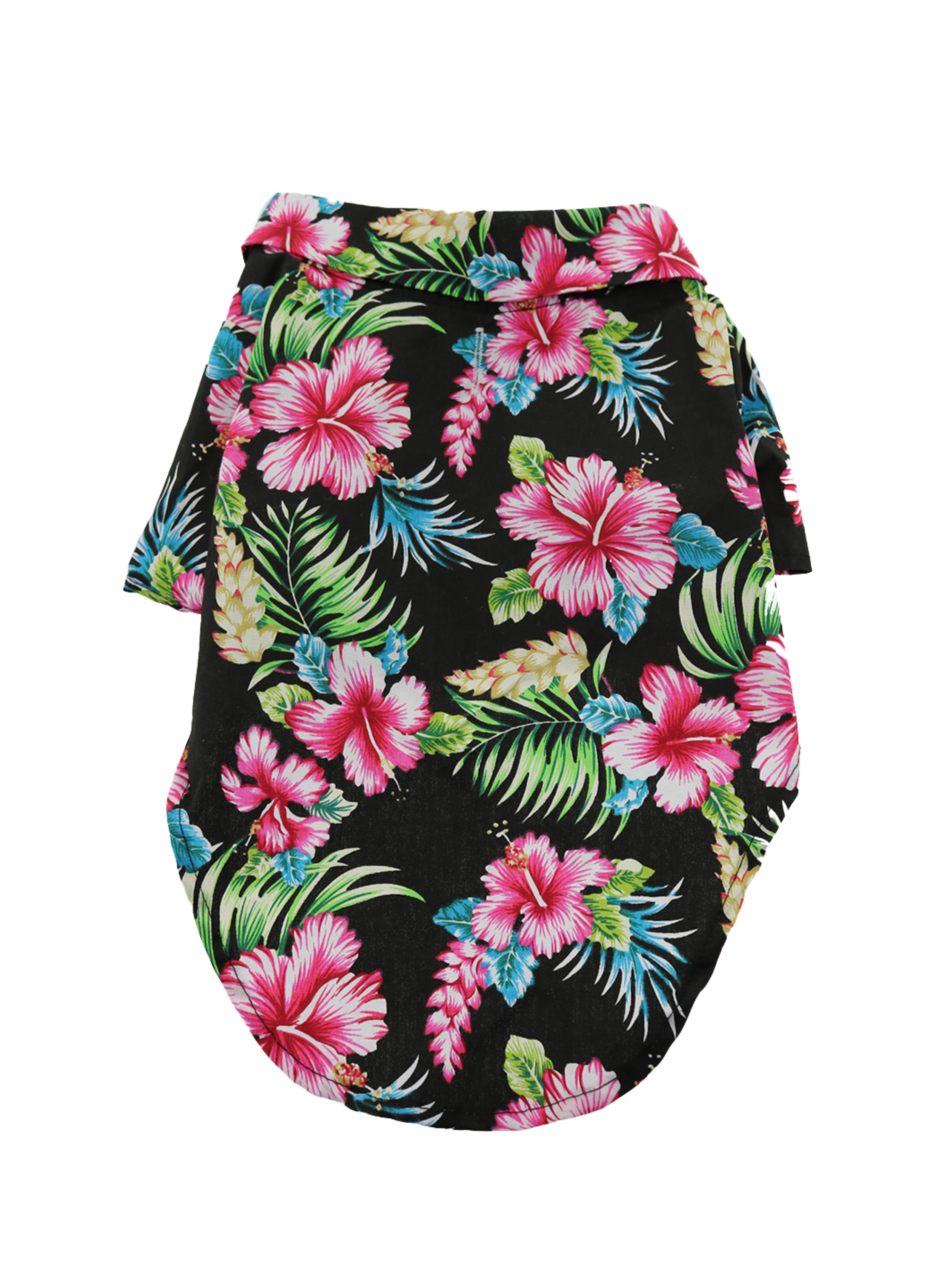 Untitled design (15).png