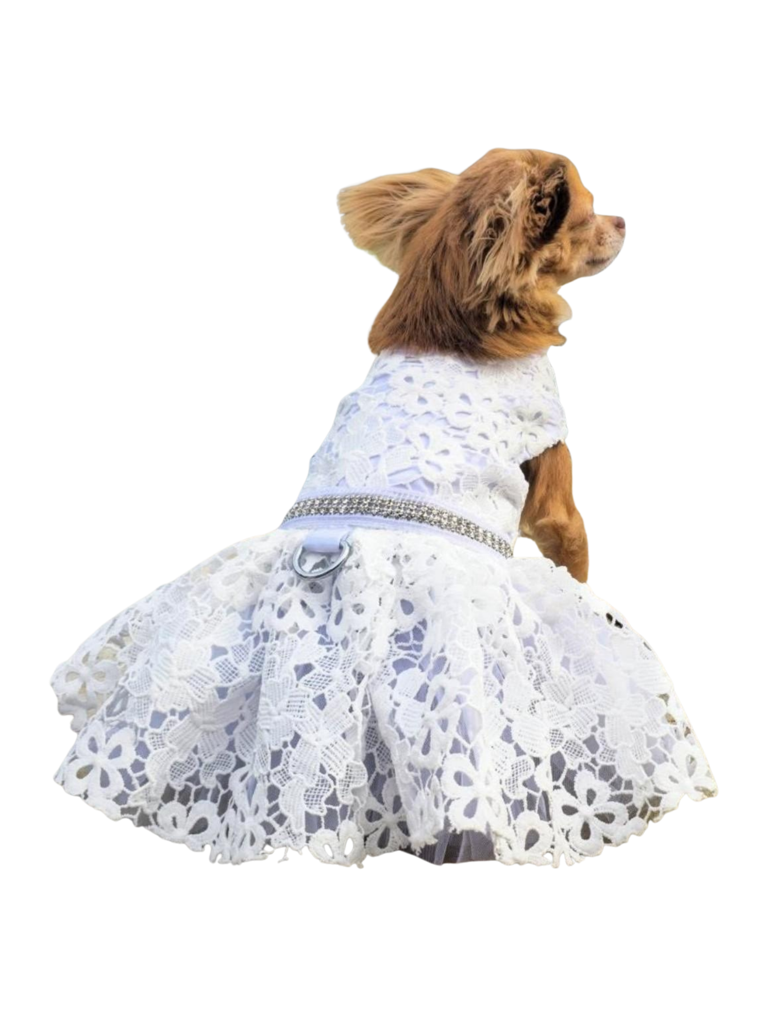 Untitled design - 10.PNG