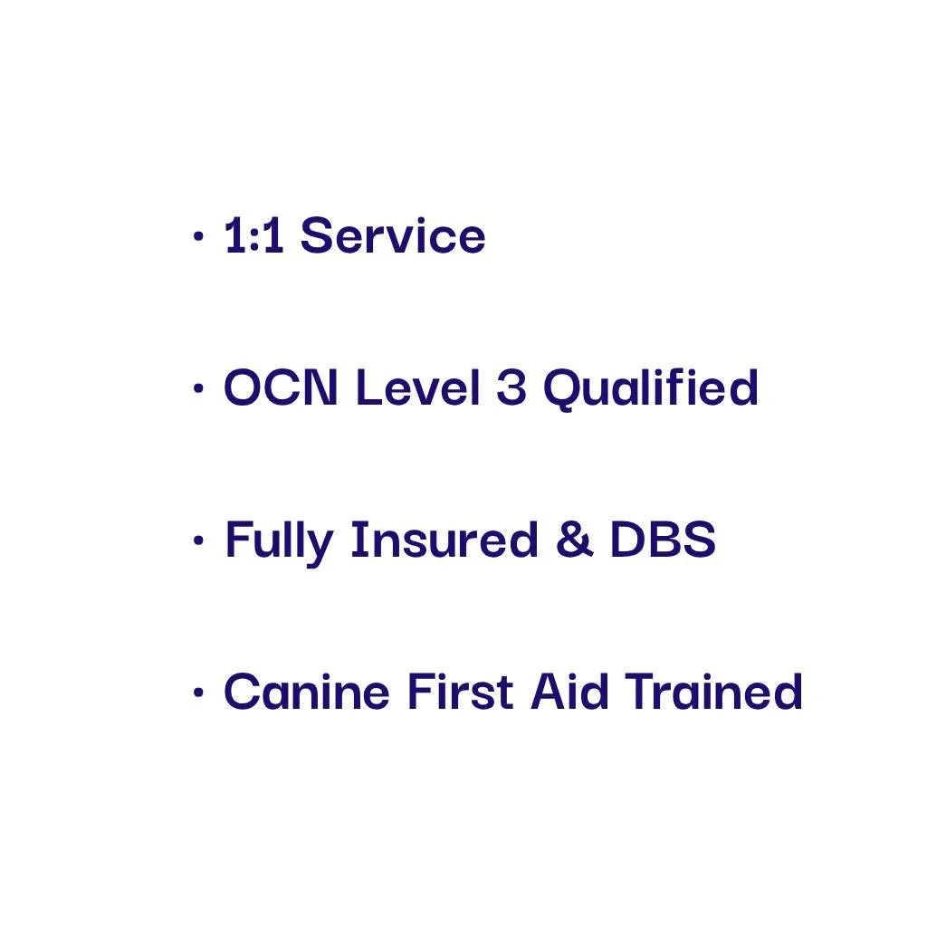 Text on a white background listing services and qualifications, including 1:1 Service, OCN Level 3 Qualified, Fully Insured & DBS, and Canine First Aid Trained.