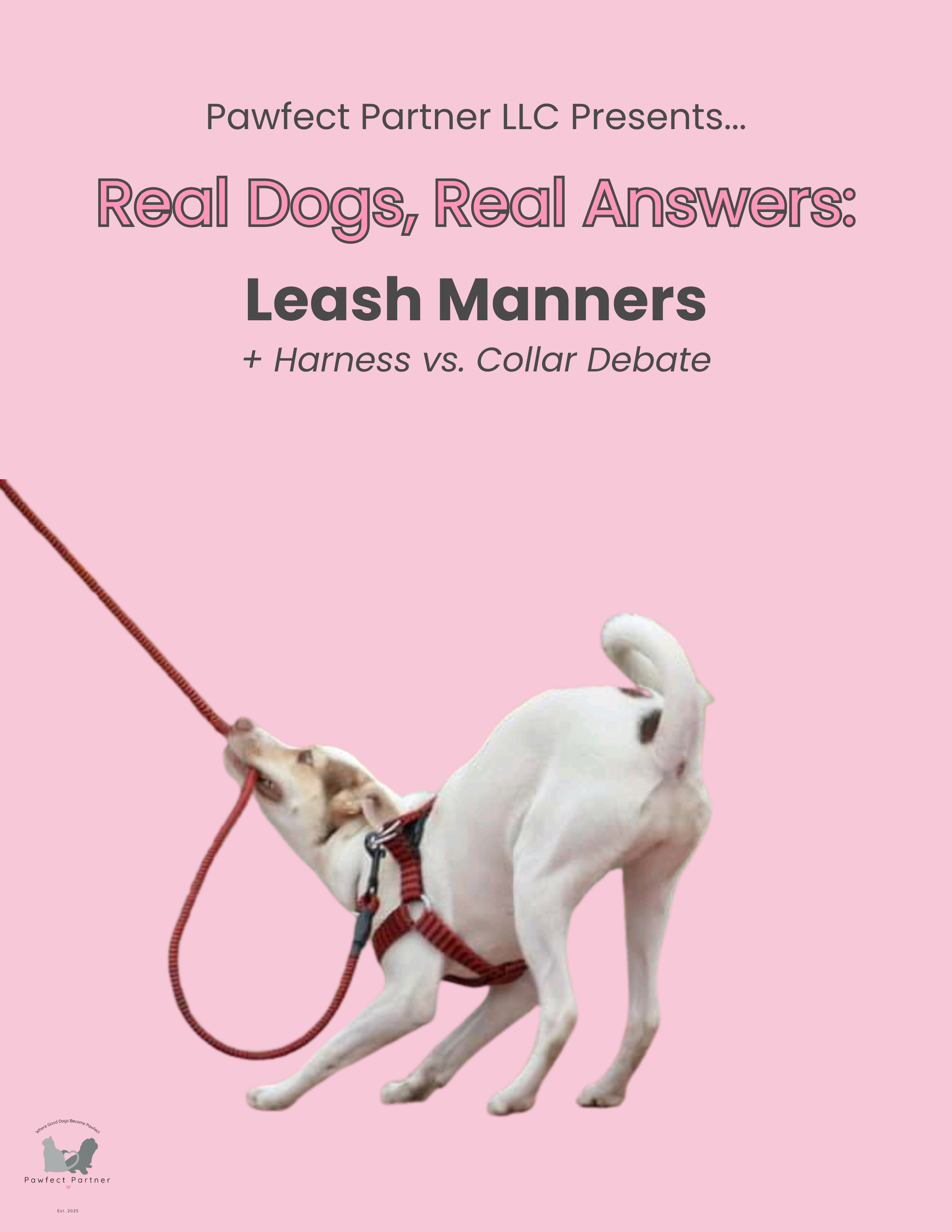 Book cover titled 'Real Dogs, Real Answers: Leash Manners' with a dog pulling on a leash against a pink background.