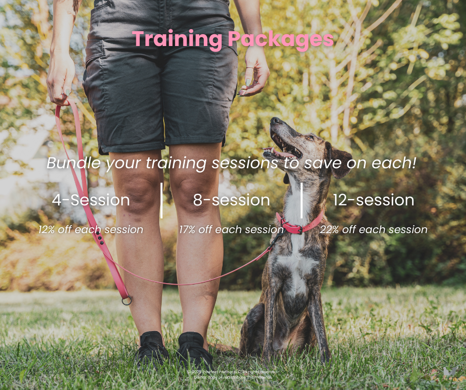 A person standing outdoors with a dog on a leash, promoting training packages with discounts on multiple sessions at 4, 8, and 12 sessions.